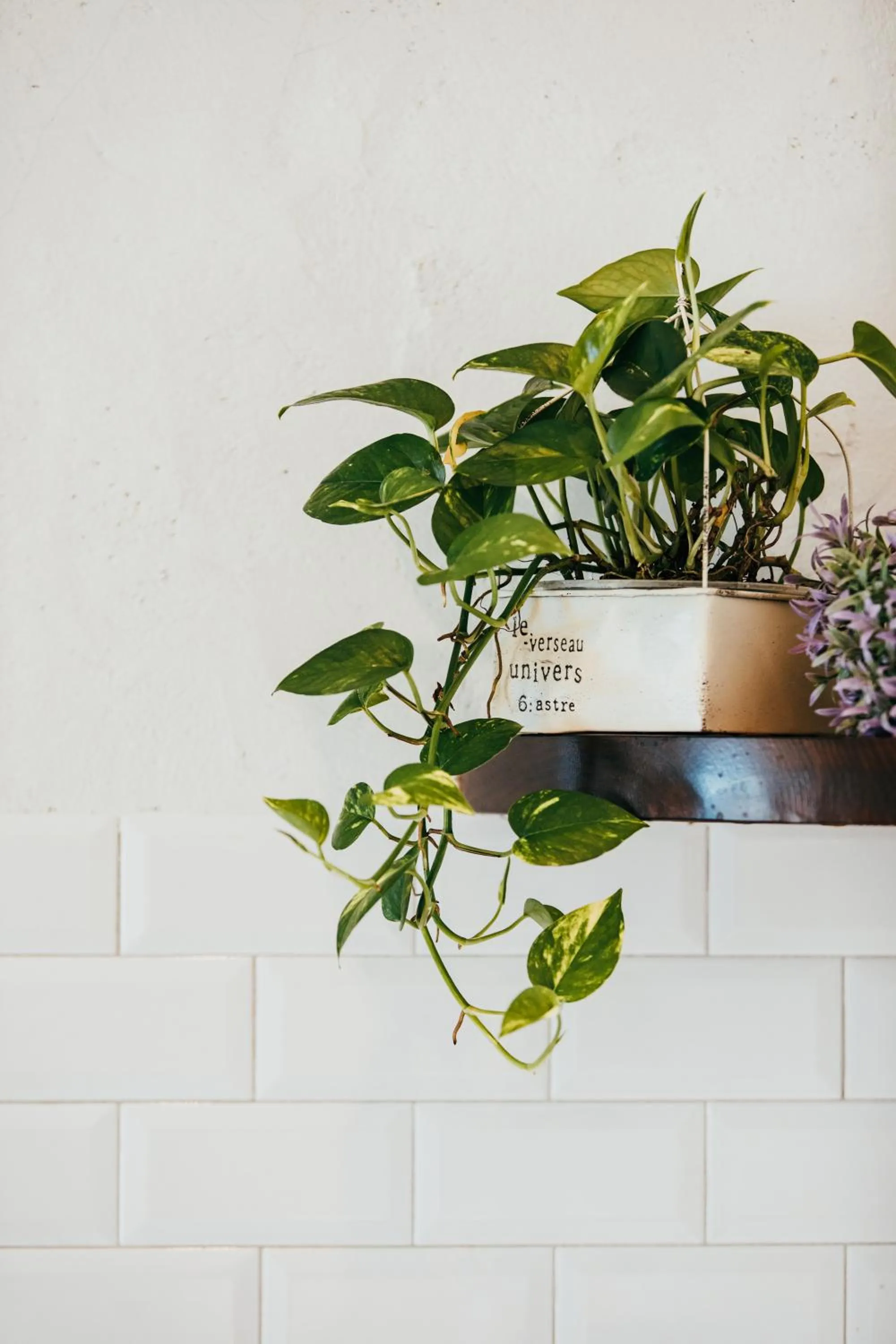 Decorative detail in Chuanfanrock Haku Beach Days Inn