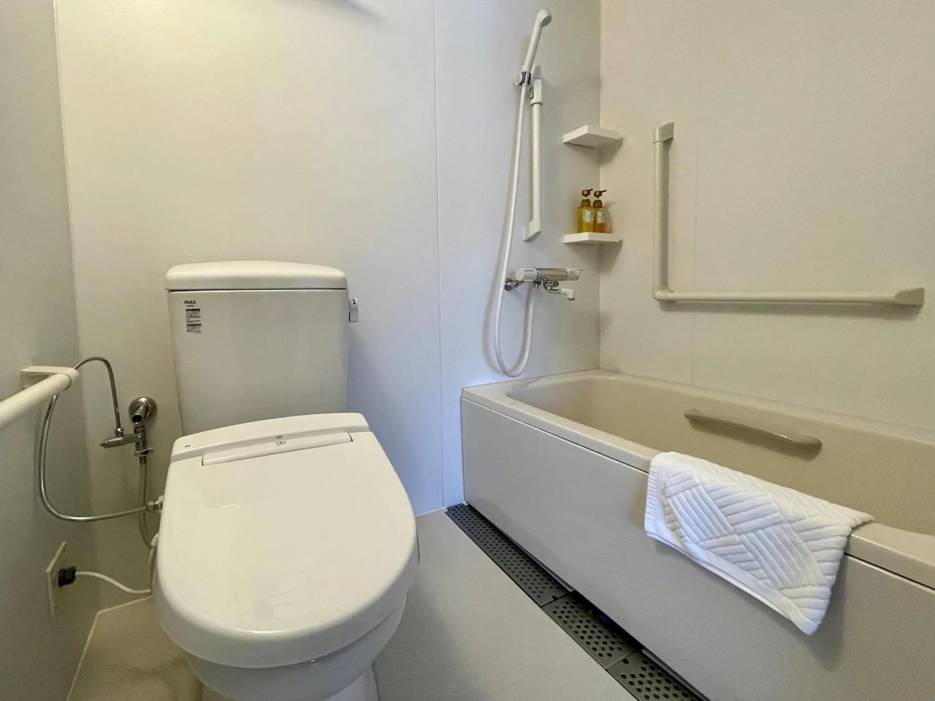 Toilet in Hitachi Hotel Crane