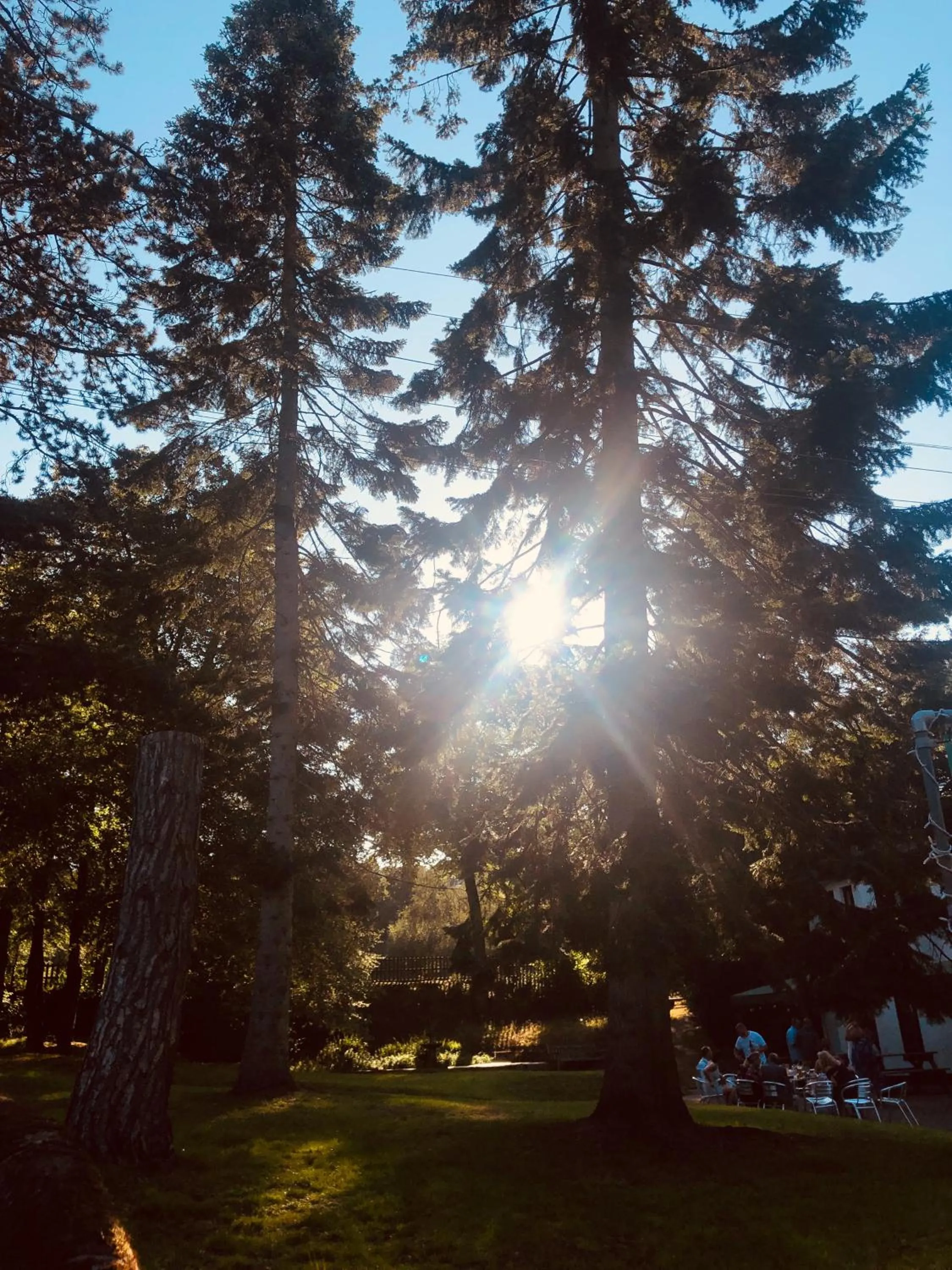 Old Rose and Crown Hotel Birmingham