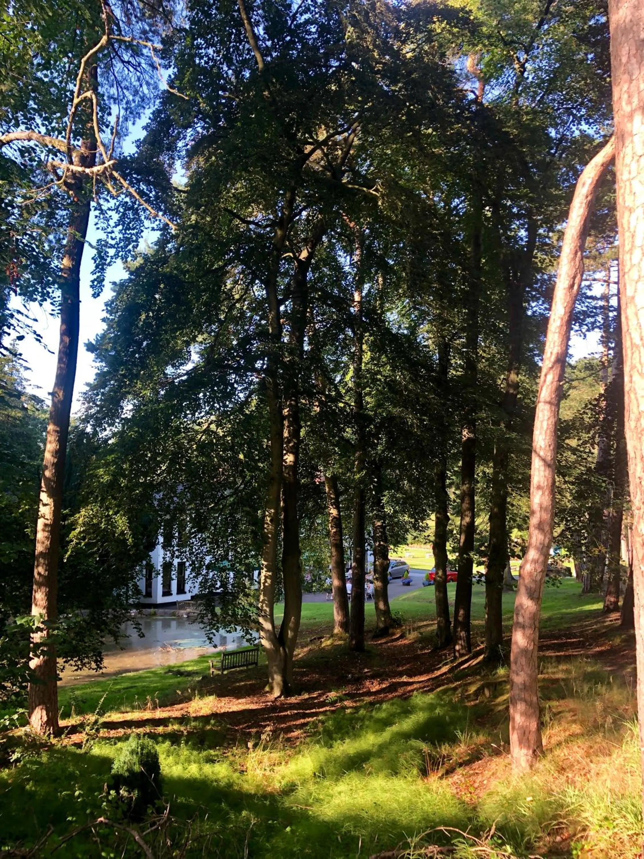 Old Rose and Crown Hotel Birmingham