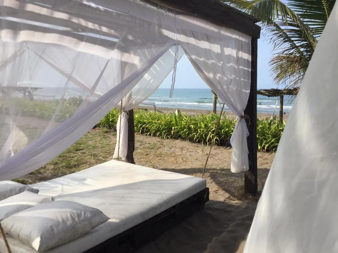 Sea view in Hotel Taboga Eco Boutique & Spa Costa Esmeralda