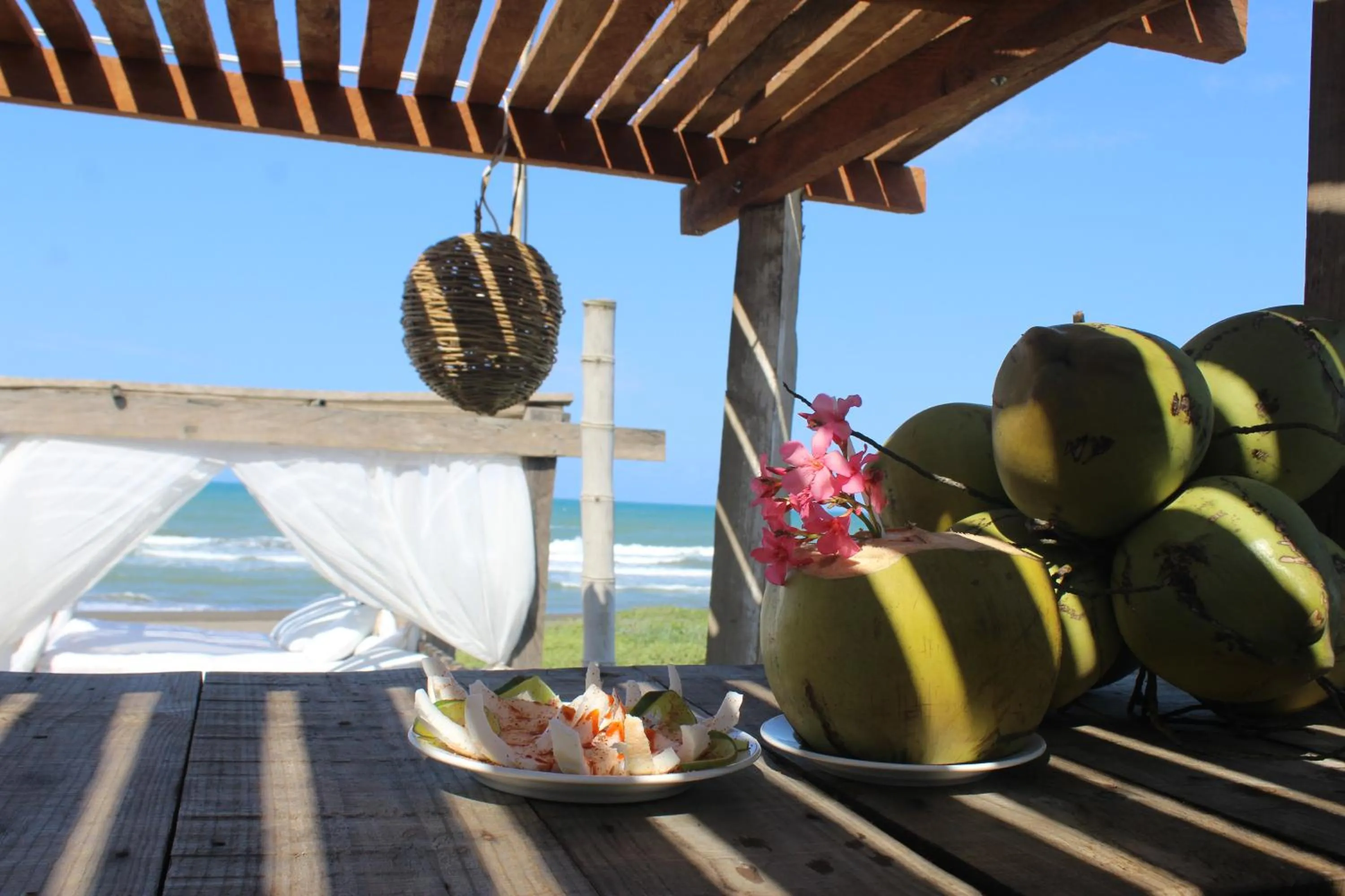 Food and drinks in Hotel Taboga Eco Boutique & Spa Costa Esmeralda