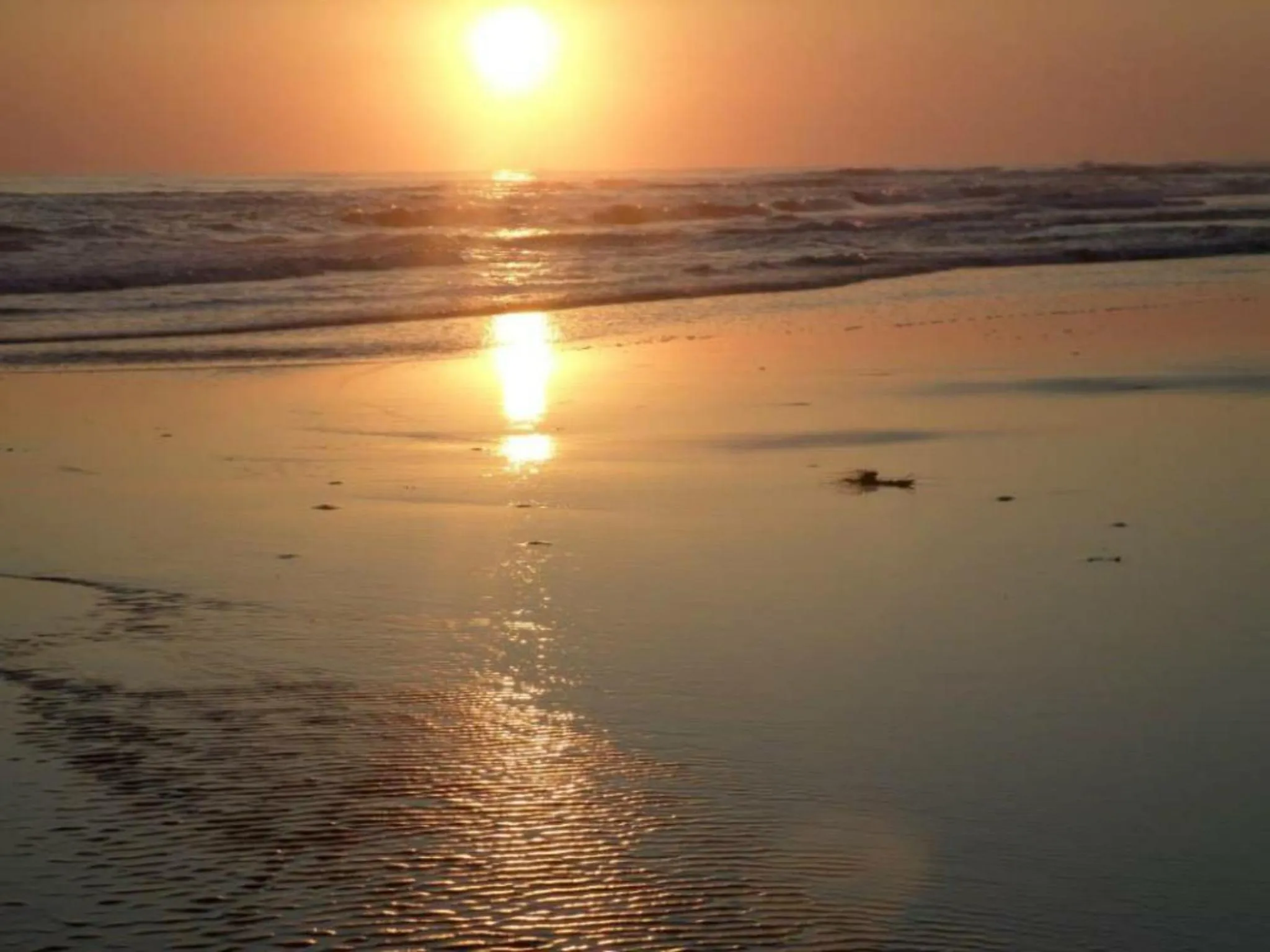 Beach in Hotel Taboga Eco Boutique & Spa Costa Esmeralda