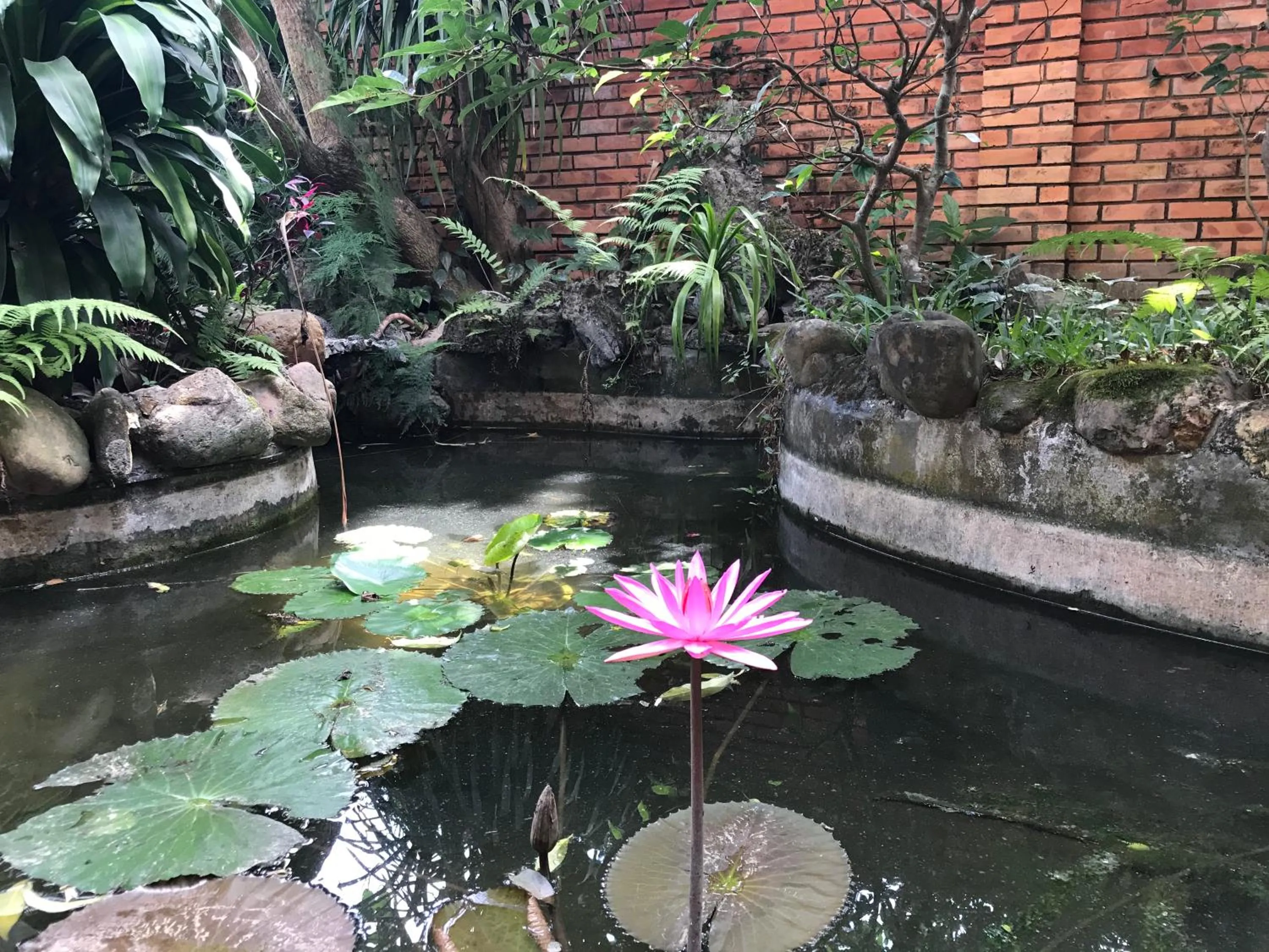 Garden in Spring Garden Villa