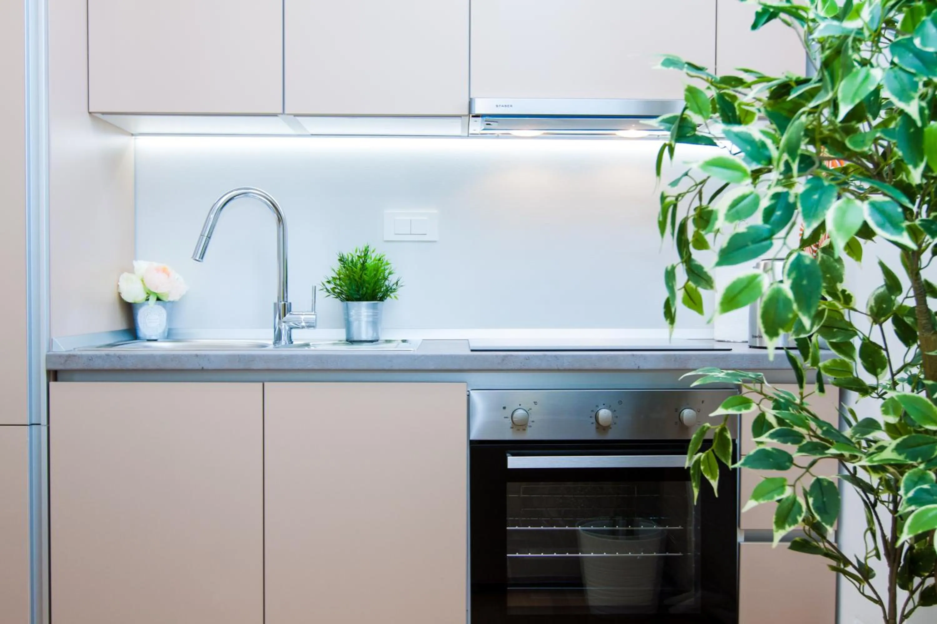 Kitchen or kitchenette in Luxury Main Square Apartments