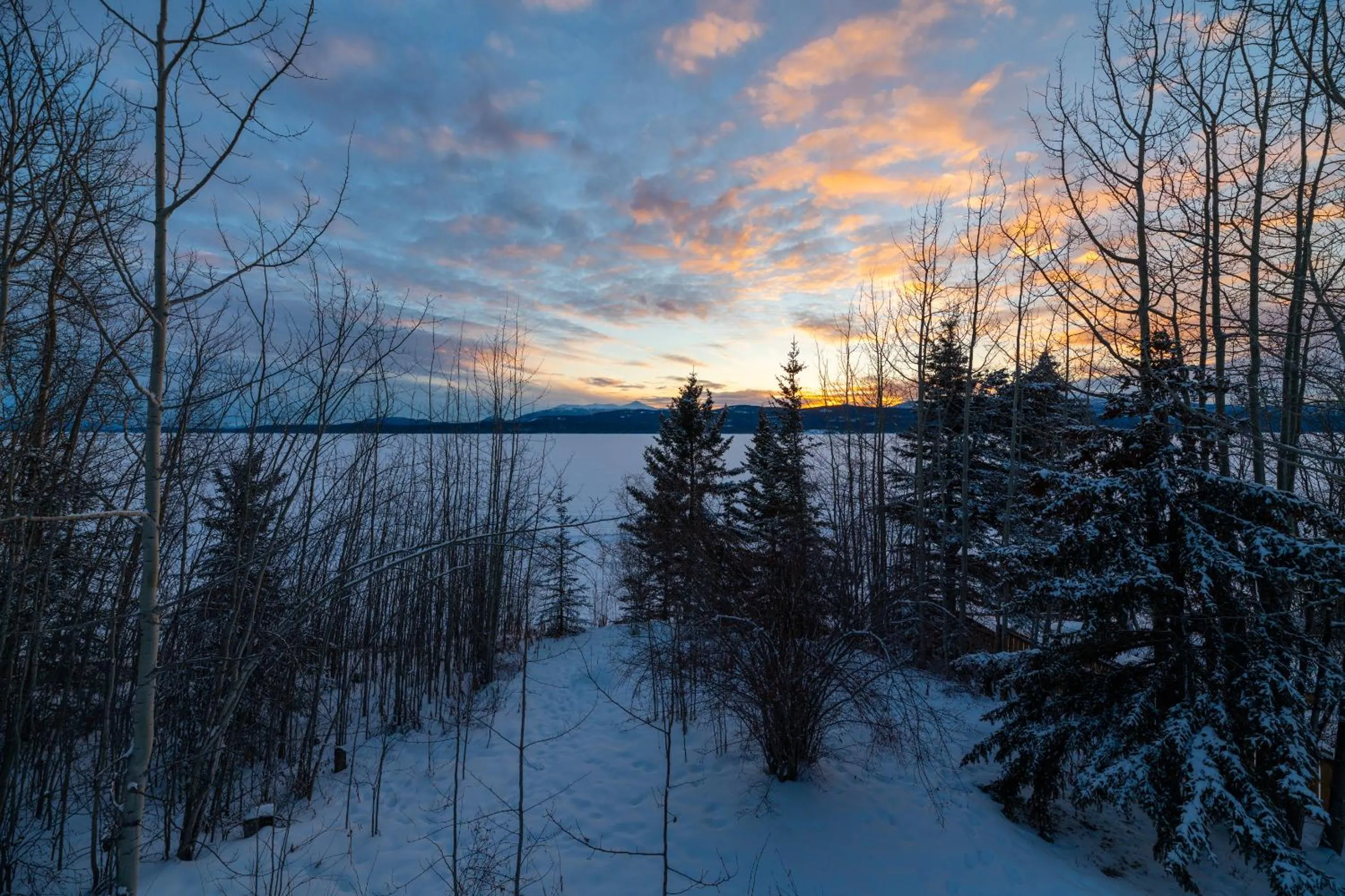 Winter in Inn on the Lake - Whitehorse