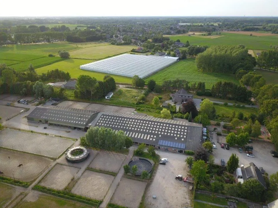 Decorative detail in B&B de Rekkendonken