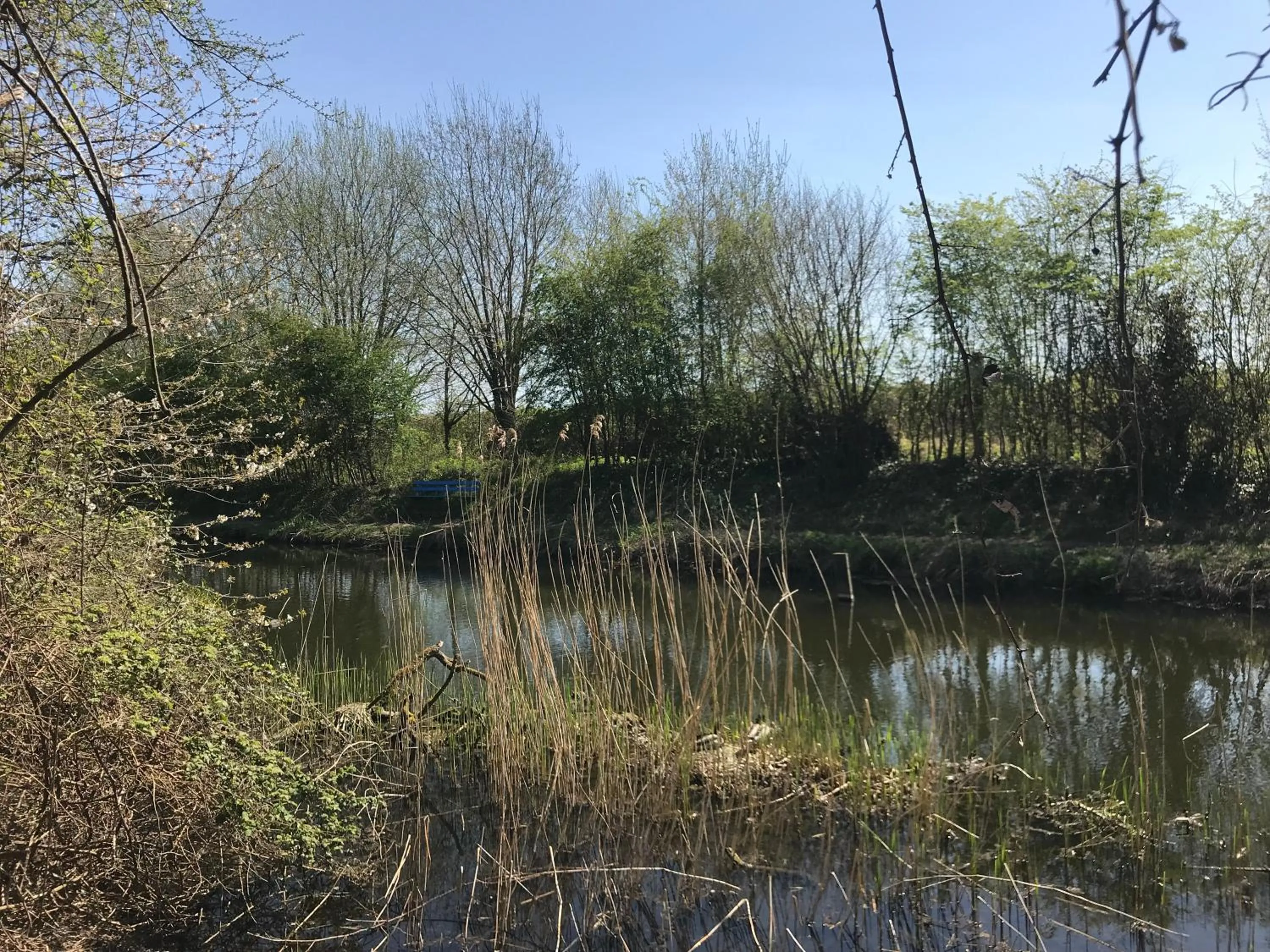 Natural landscape in The Cottages at Crouchers Orchards