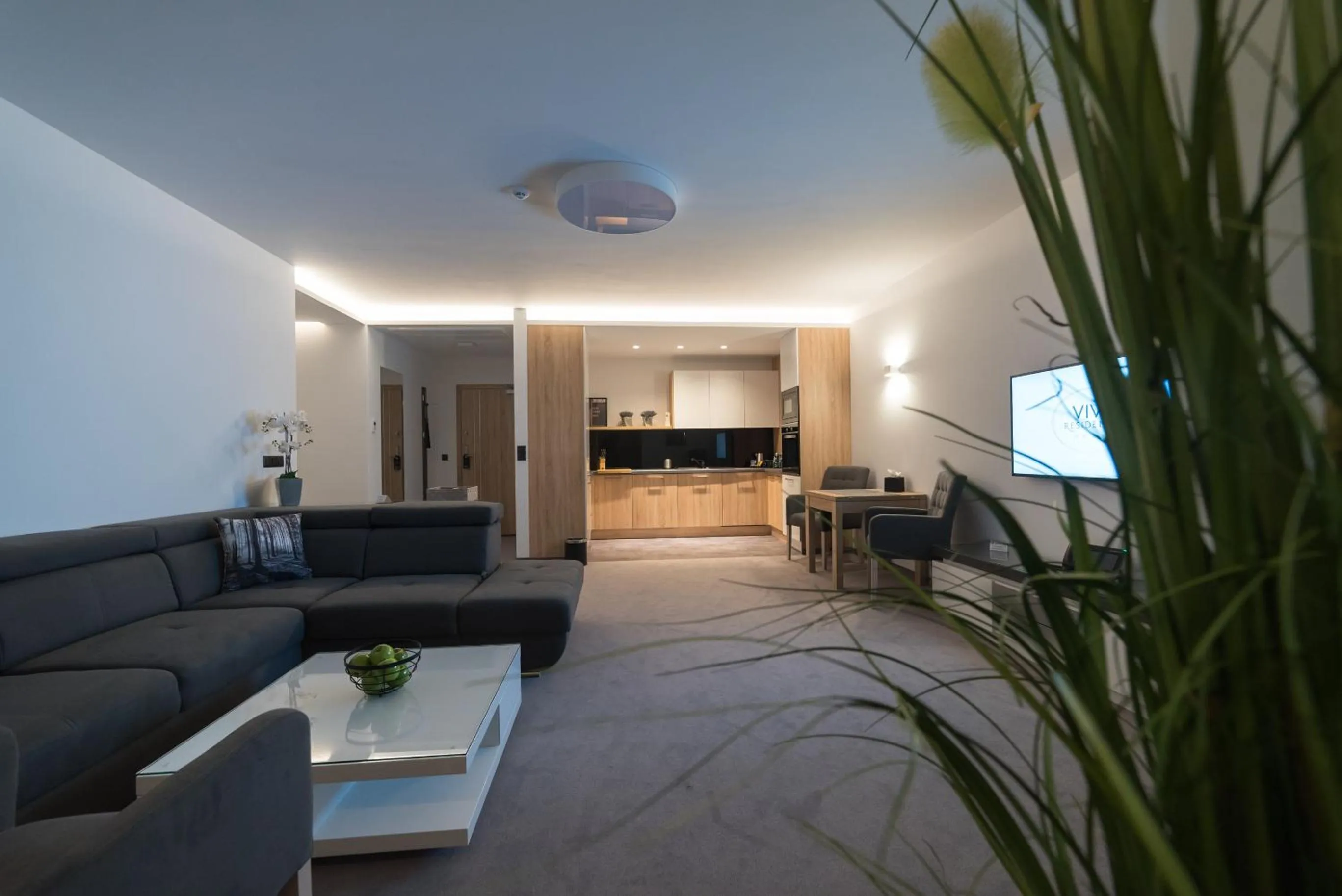 TV and multimedia in Apart-Hotel VIVI RESIDENCE & SPA