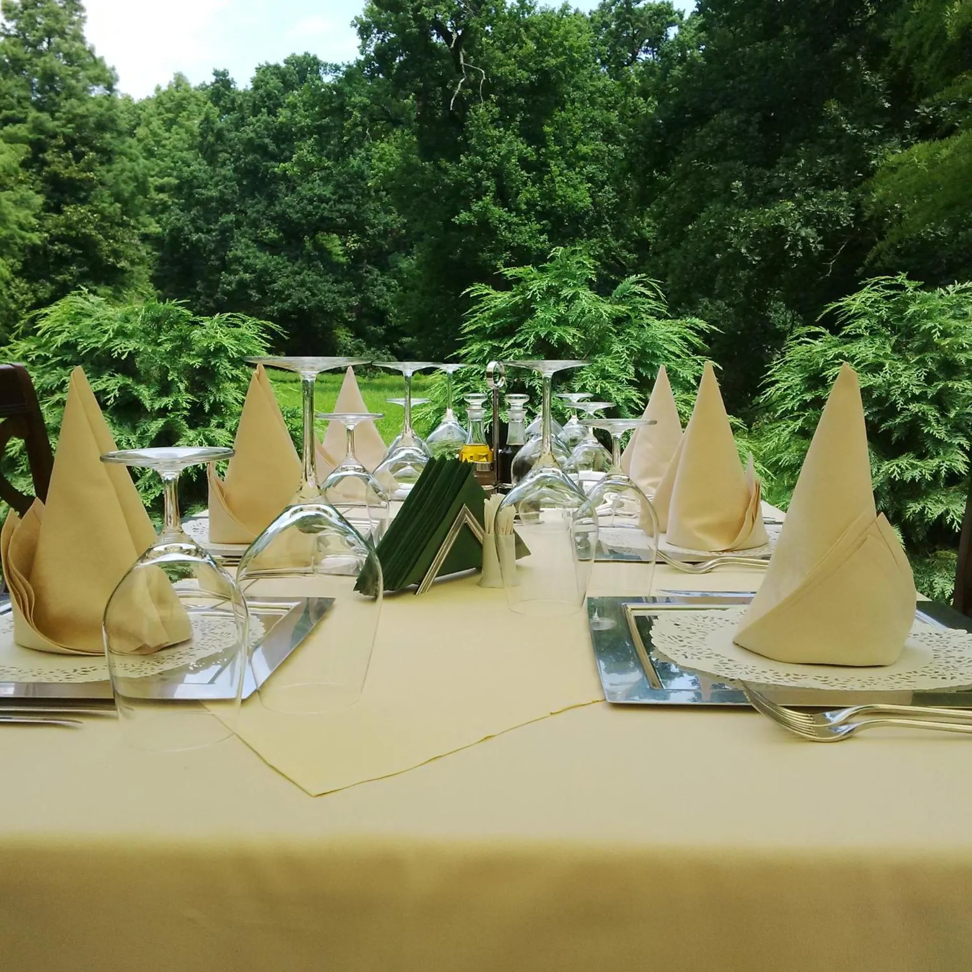 View (from property/room) in Hotel Stejarul