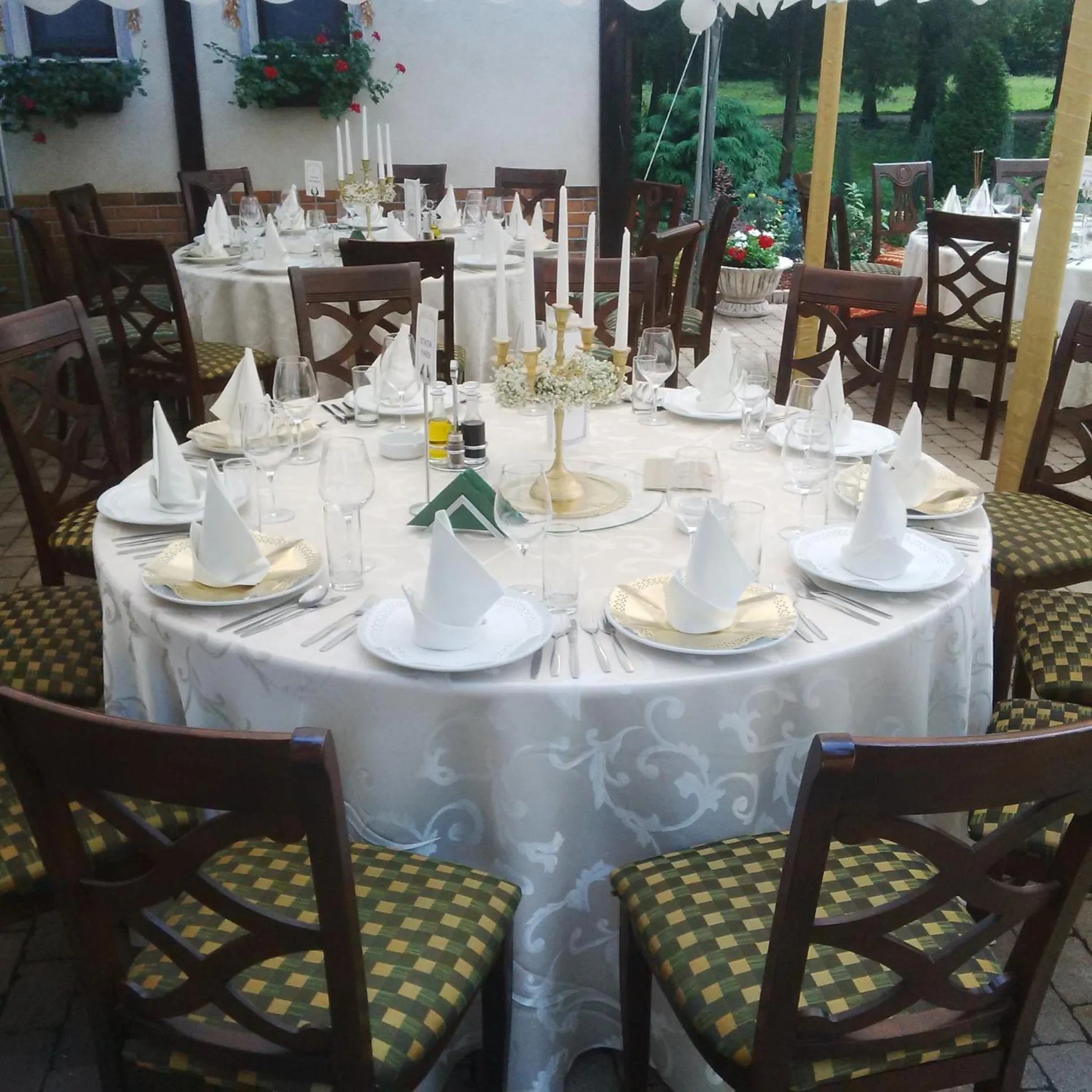 Garden in Hotel Stejarul