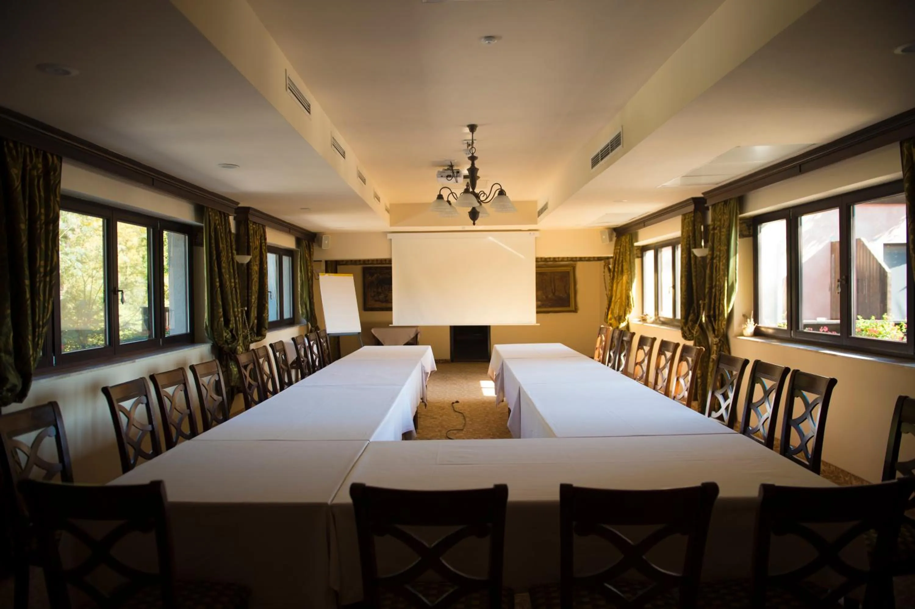 Meeting/conference room in Hotel Stejarul