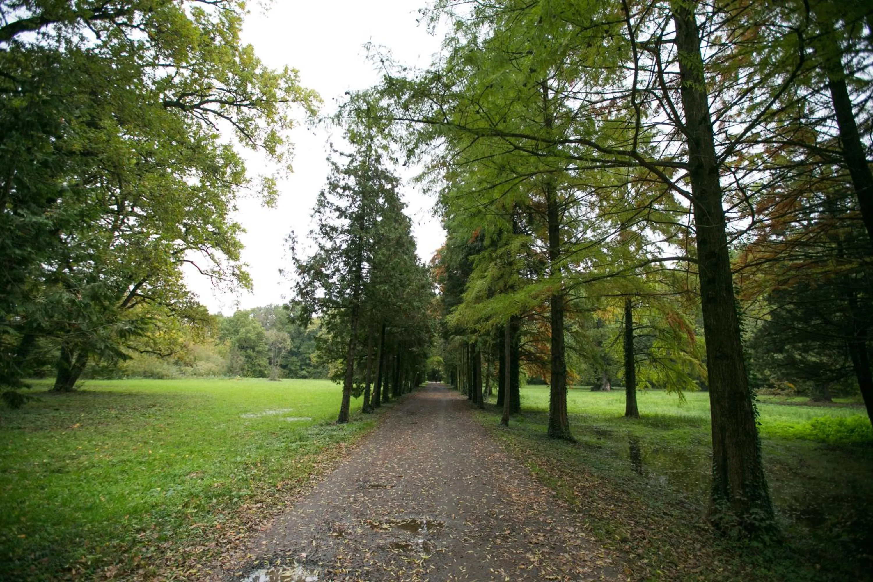 Facade/entrance in Hotel Stejarul