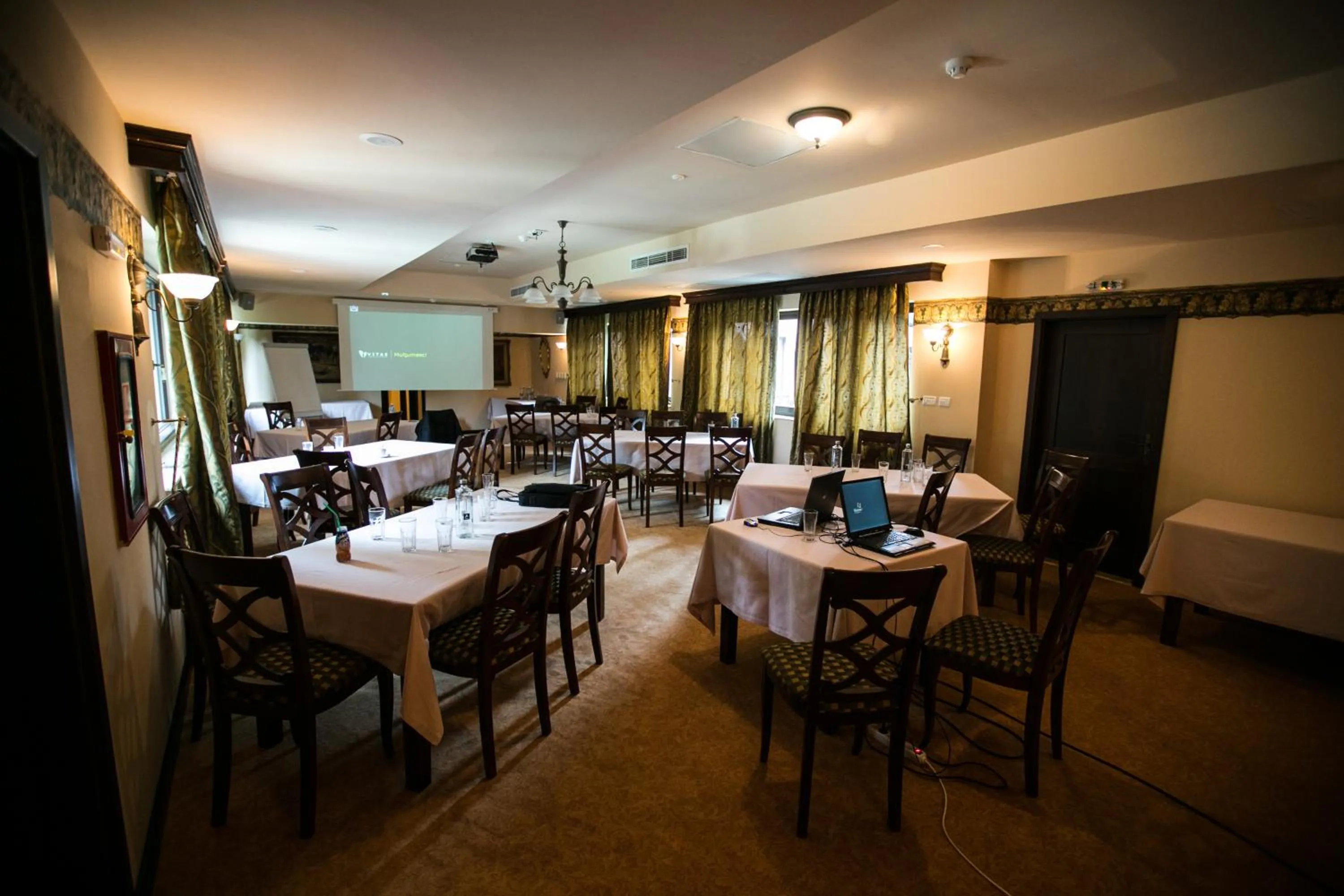 Business facilities in Hotel Stejarul