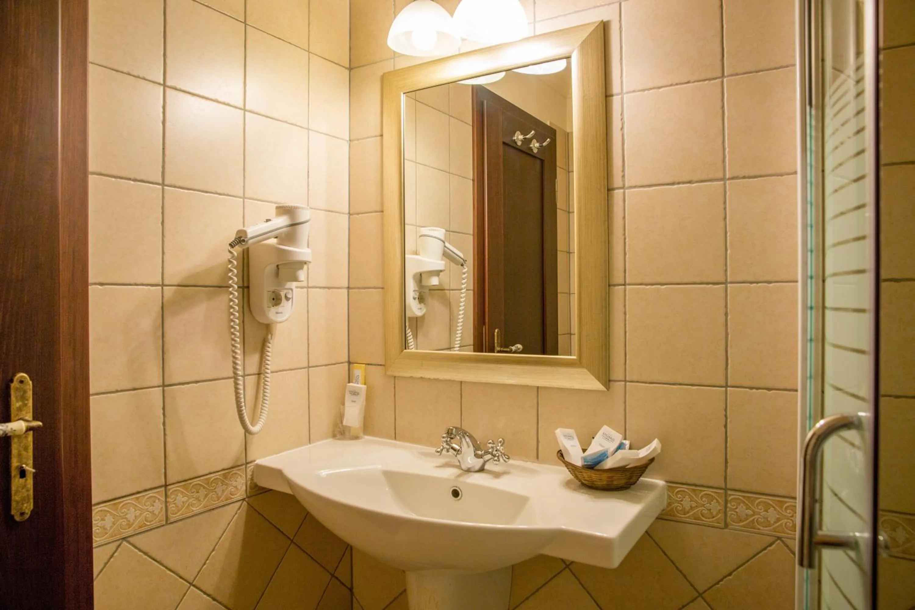 Bathroom in Hotel Stejarul