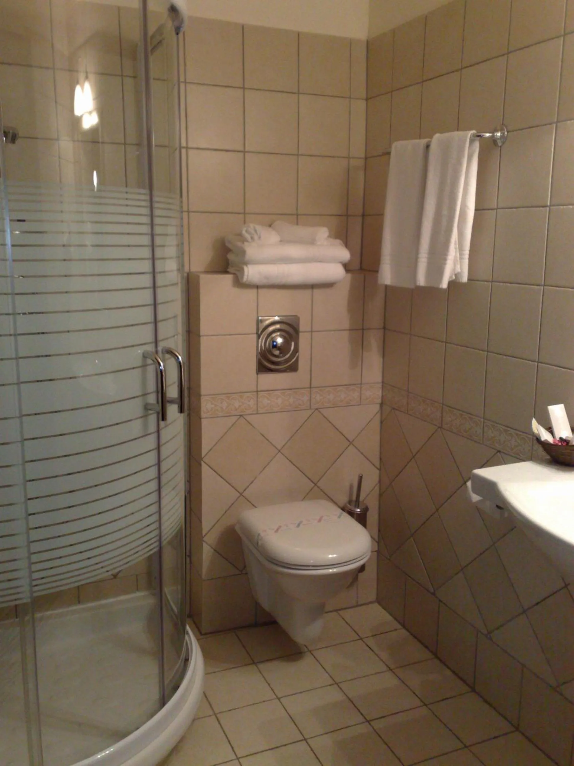 Shower in Hotel Stejarul