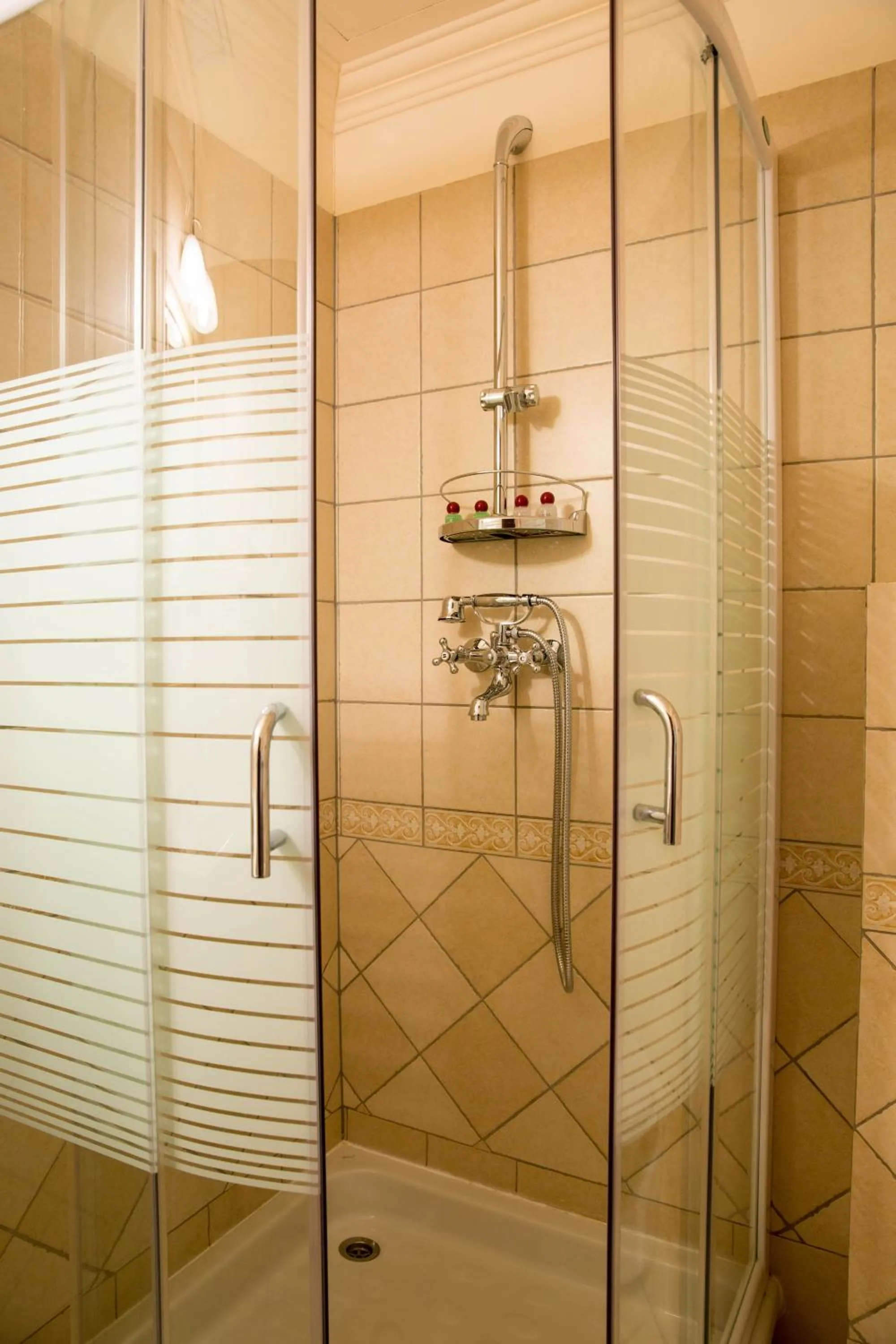Shower in Hotel Stejarul