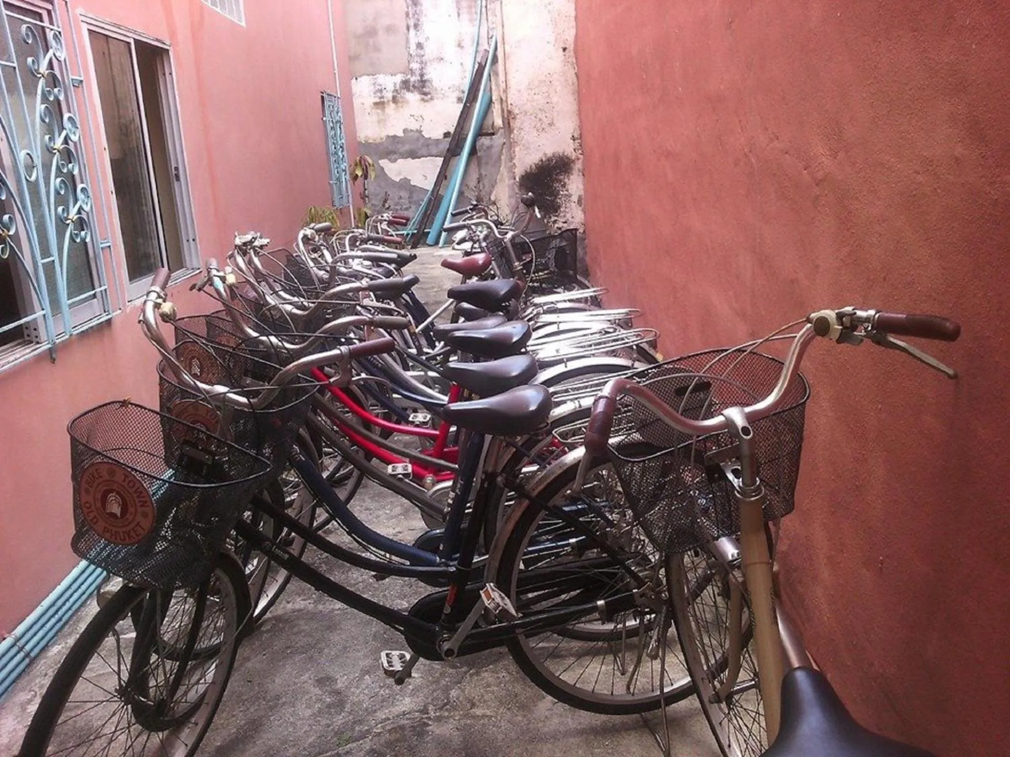 Cycling in D's Corner & Guesthouse