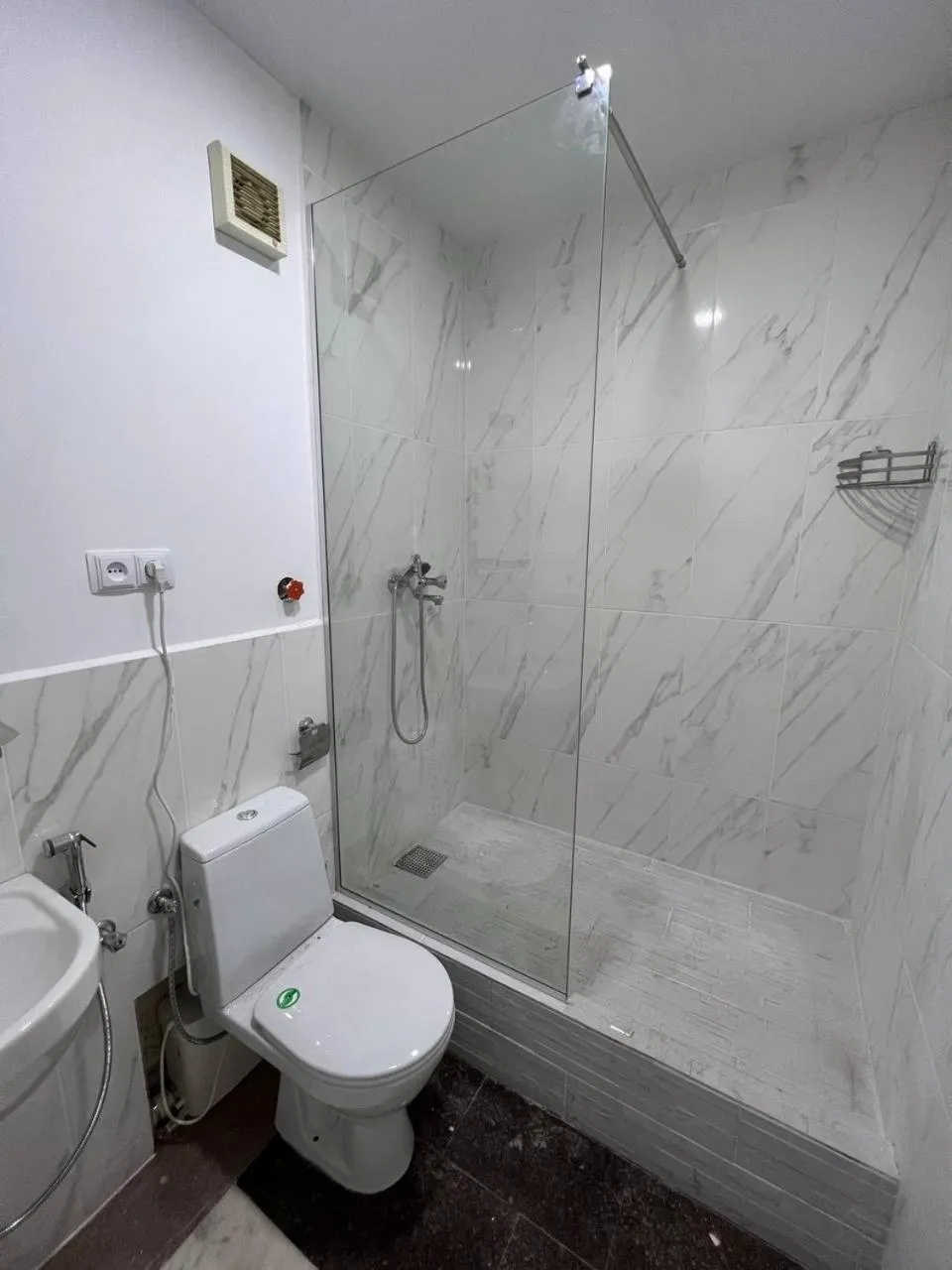 Bathroom in Georgian House