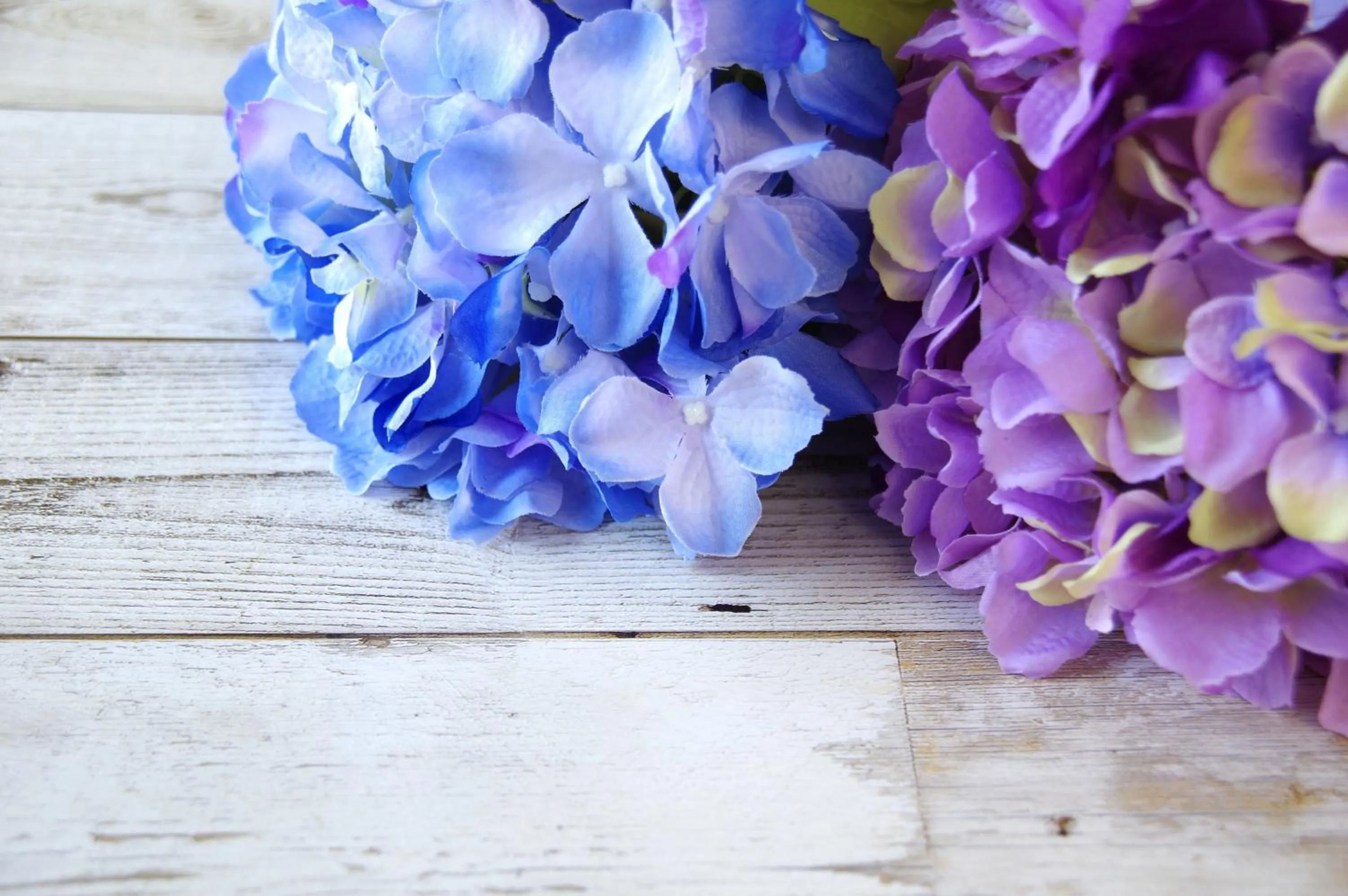 Garden in B&B Raffiori