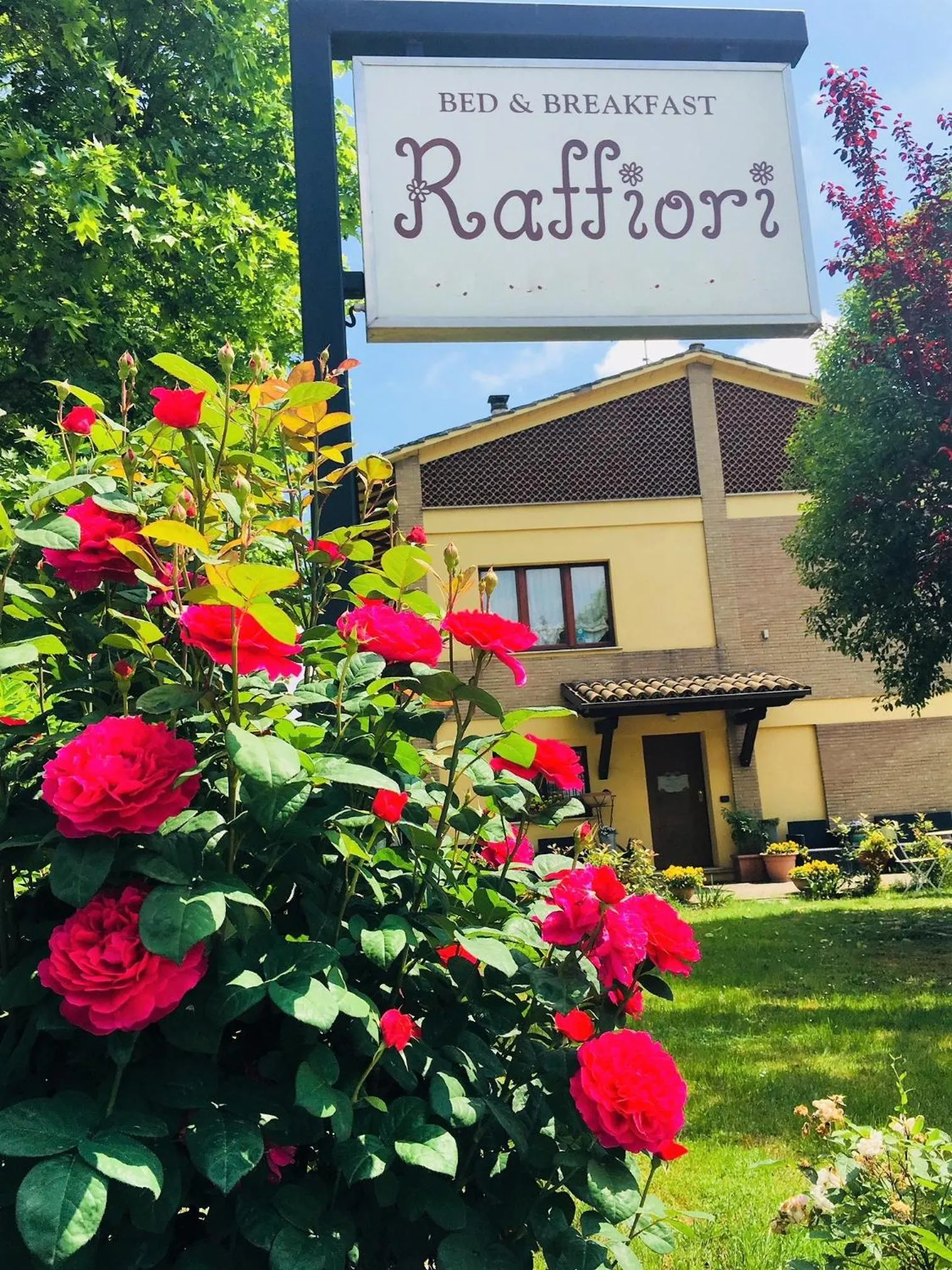 Garden in B&B Raffiori