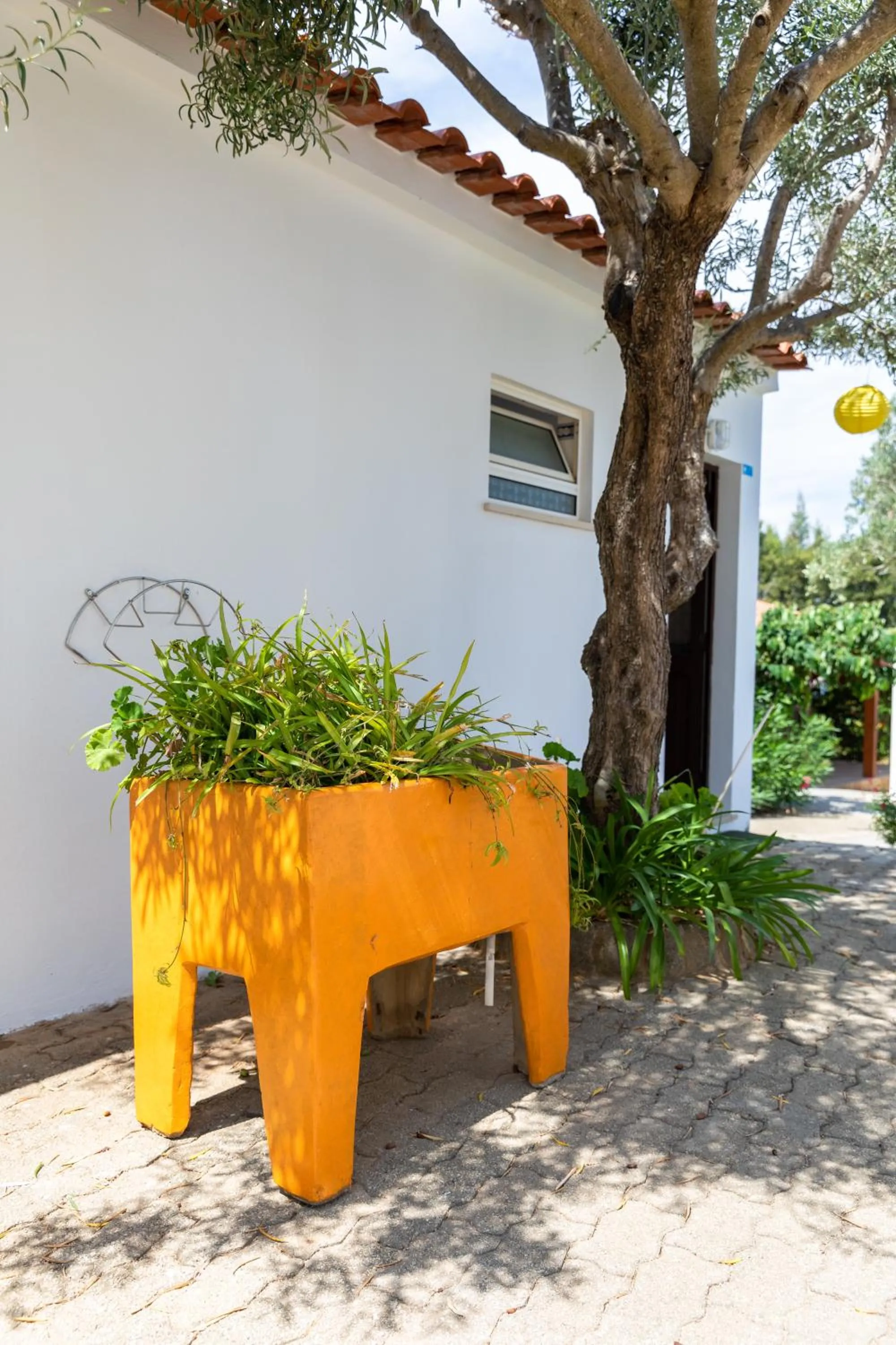 Property building in Apartamentos Flor da Laranja, Albufeira by AlgarveBlossom