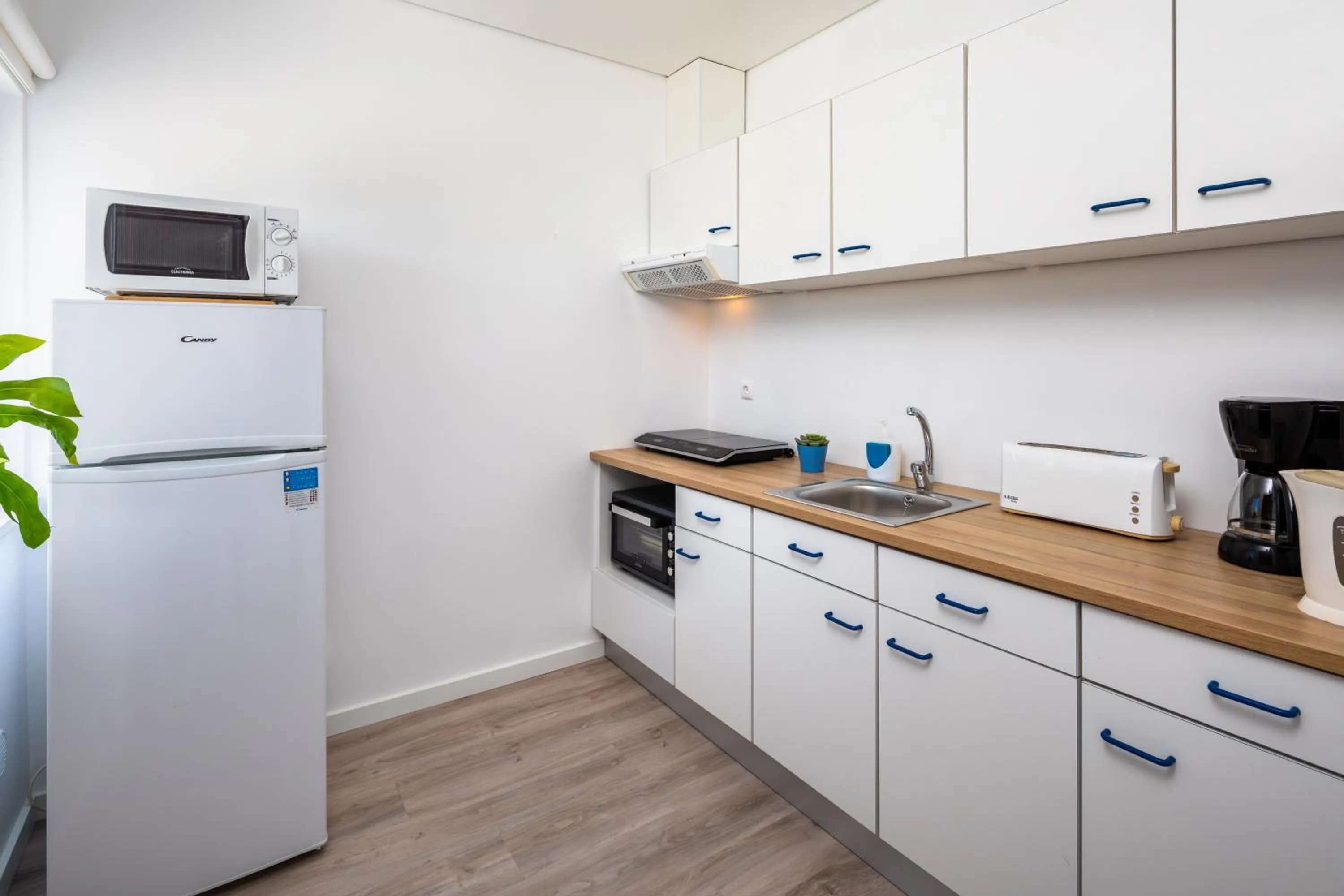 Spring in Apartamentos Flor da Laranja, Albufeira by AlgarveBlossom