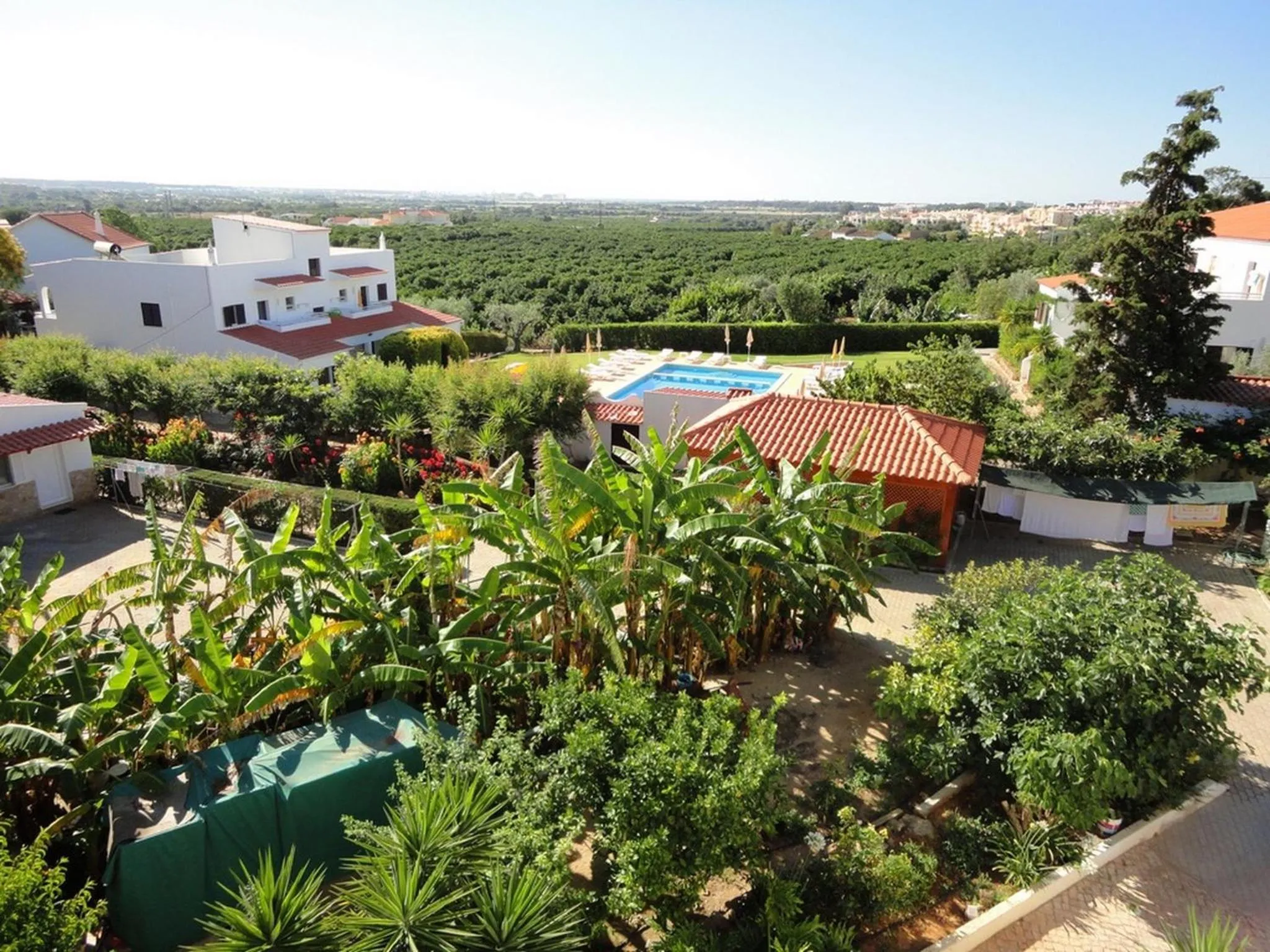 Bird's eye view in Apartamentos Flor da Laranja, Albufeira by AlgarveBlossom