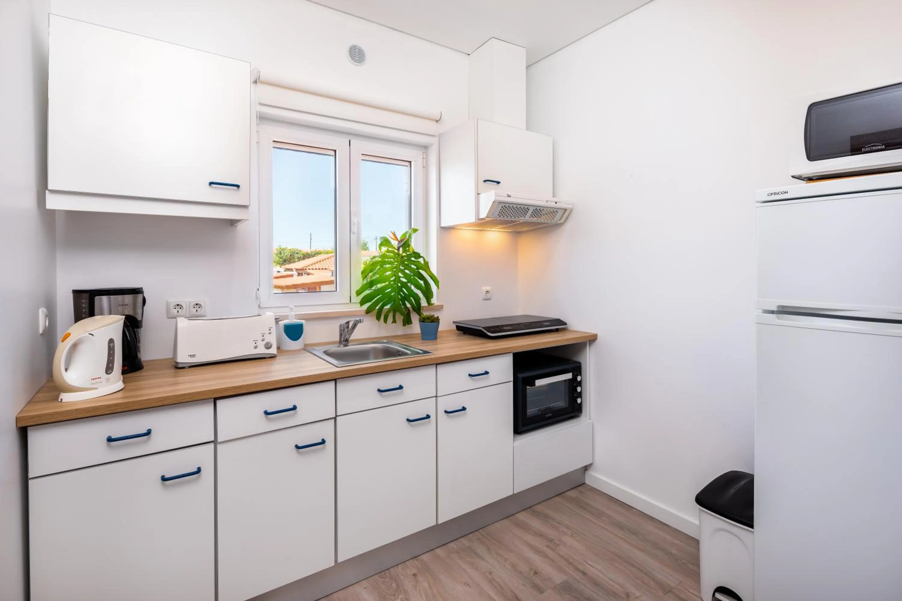 Spring in Apartamentos Flor da Laranja, Albufeira by AlgarveBlossom