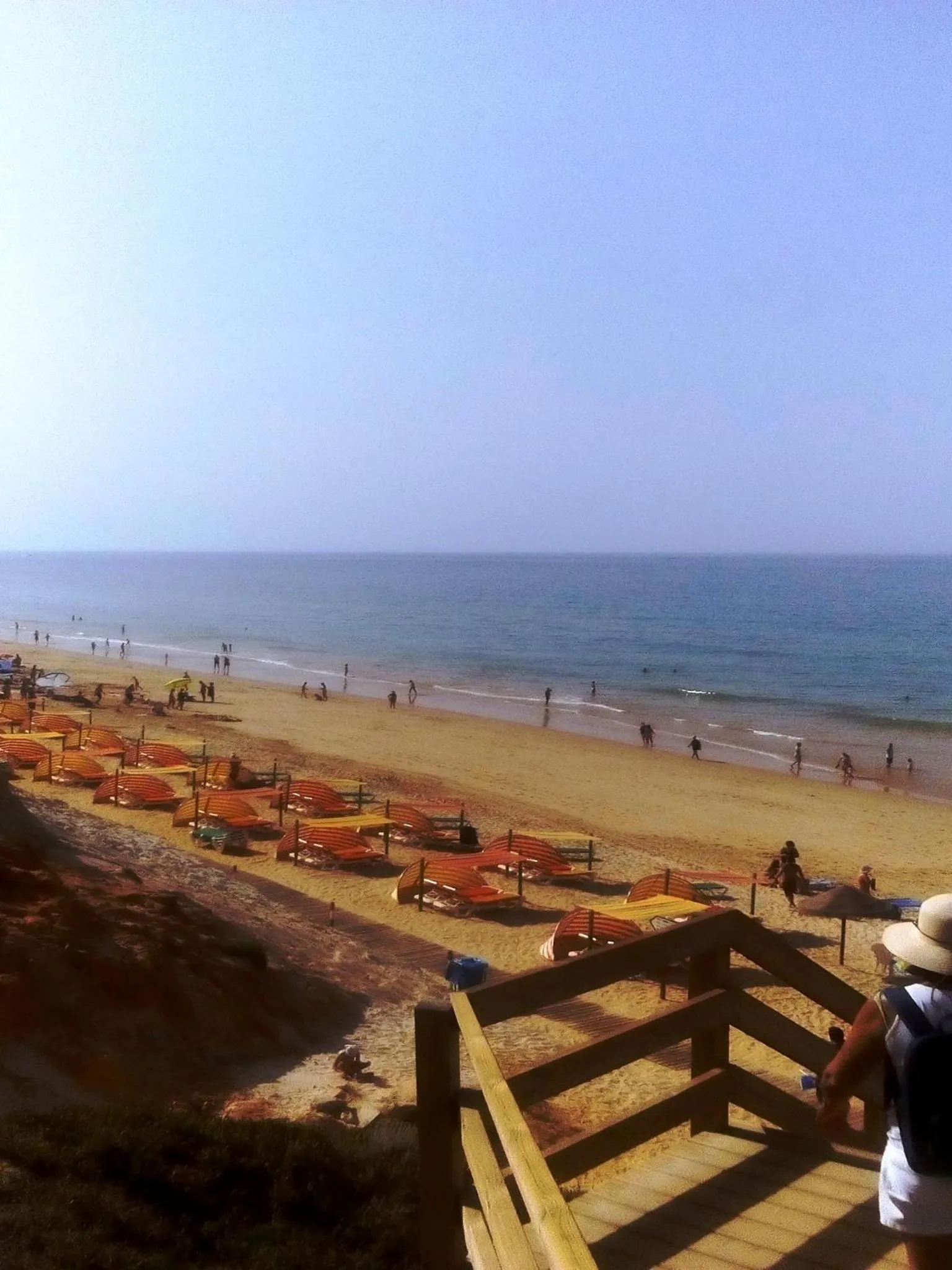 Natural landscape in Apartamentos Flor da Laranja, Albufeira by AlgarveBlossom