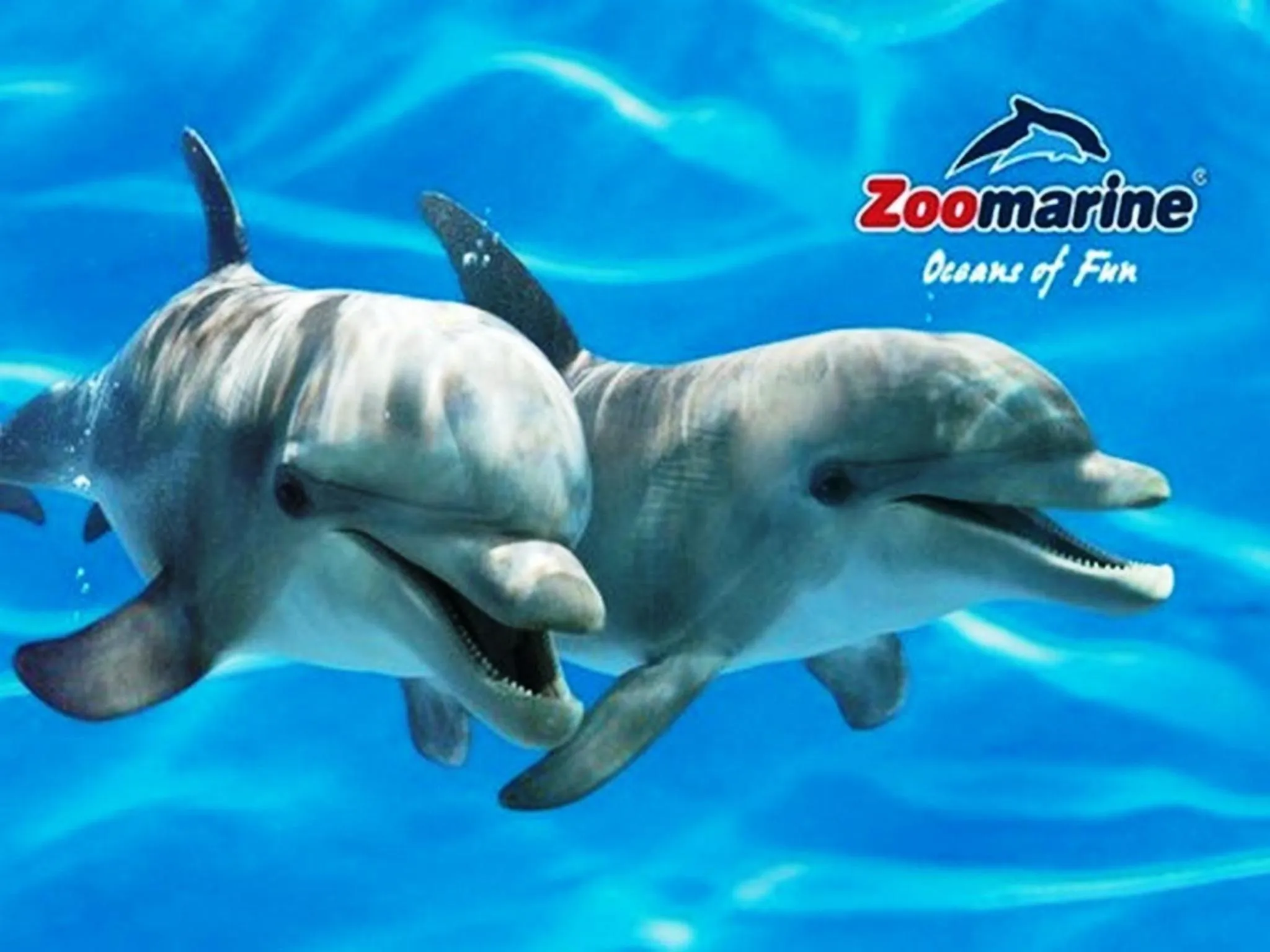 Children play ground in Apartamentos Flor da Laranja, Albufeira by AlgarveBlossom