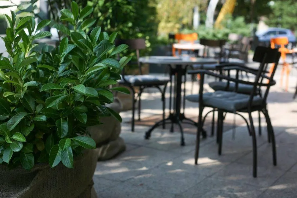 Restaurant/places to eat in Hotel Vienna