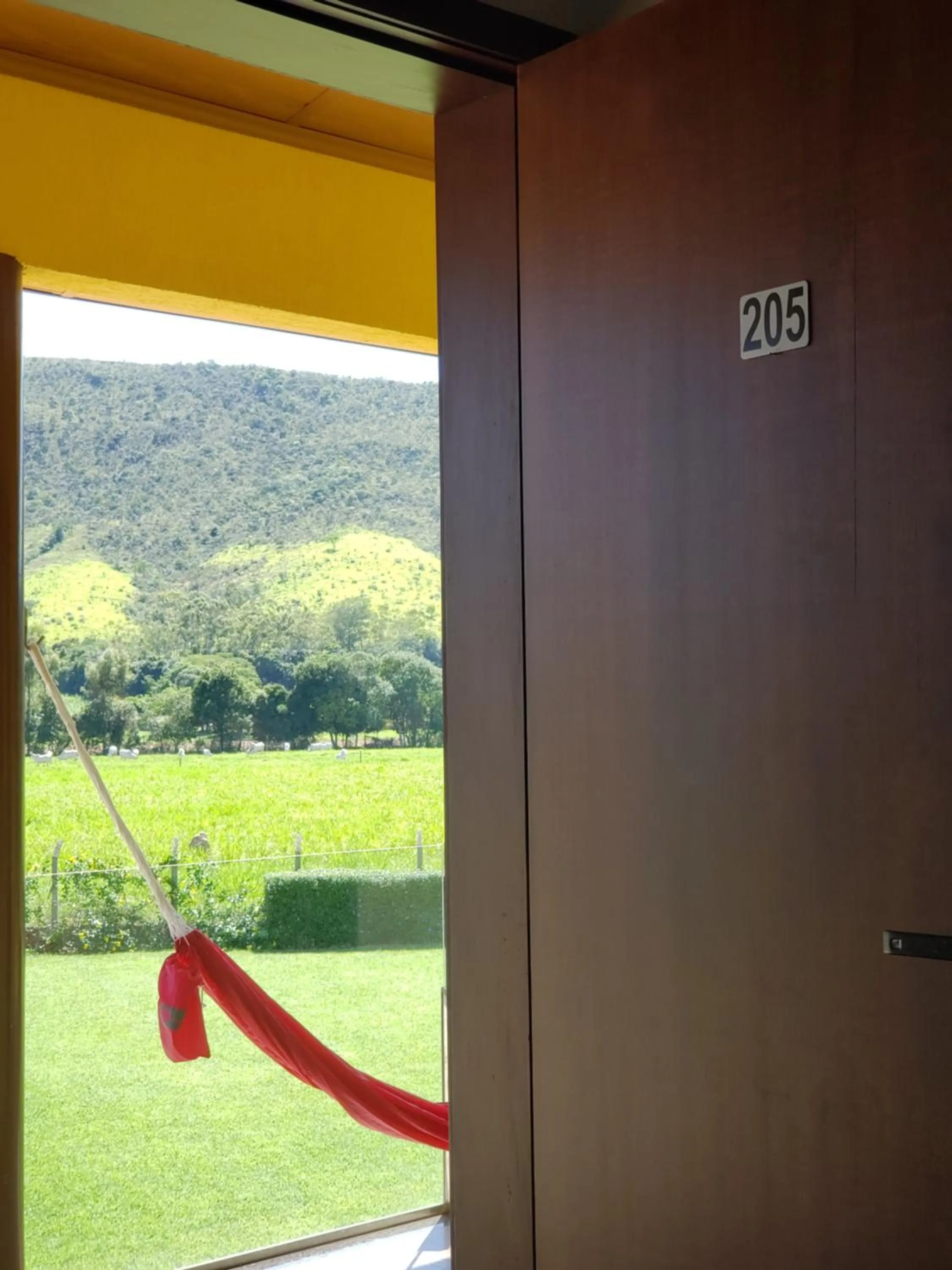 View (from property/room) in Pousada Cateto - Zona Rural