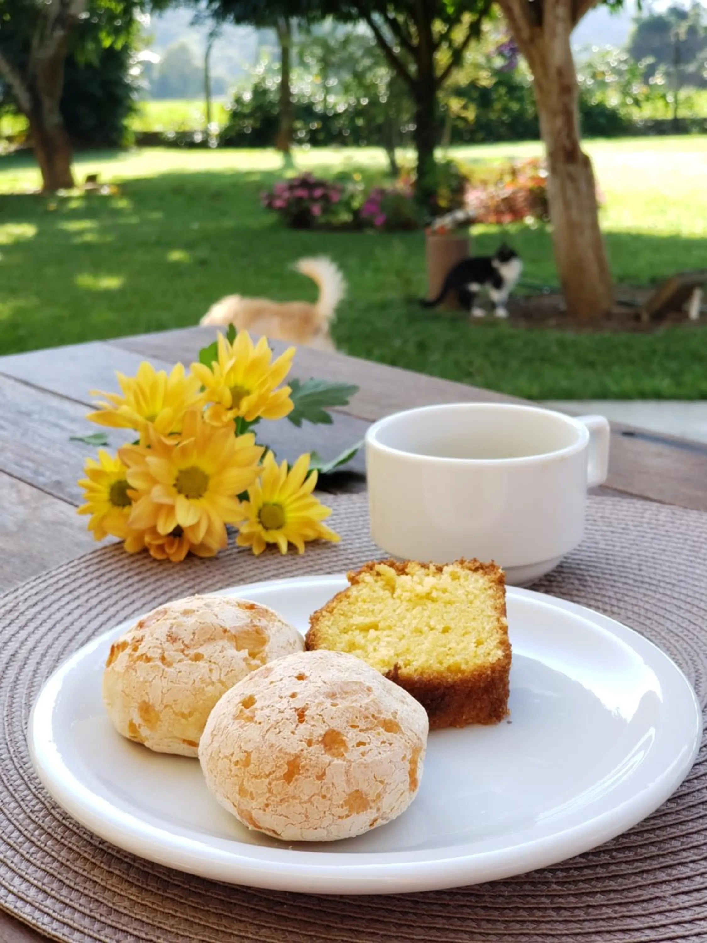 Food and drinks in Pousada Cateto - Zona Rural