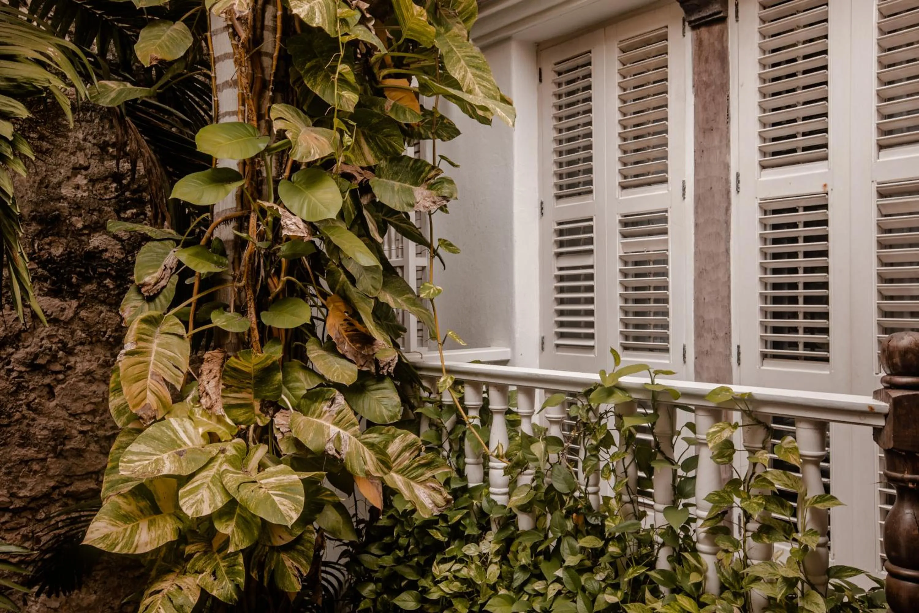 Garden in Amarla Boutique Hotel Cartagena