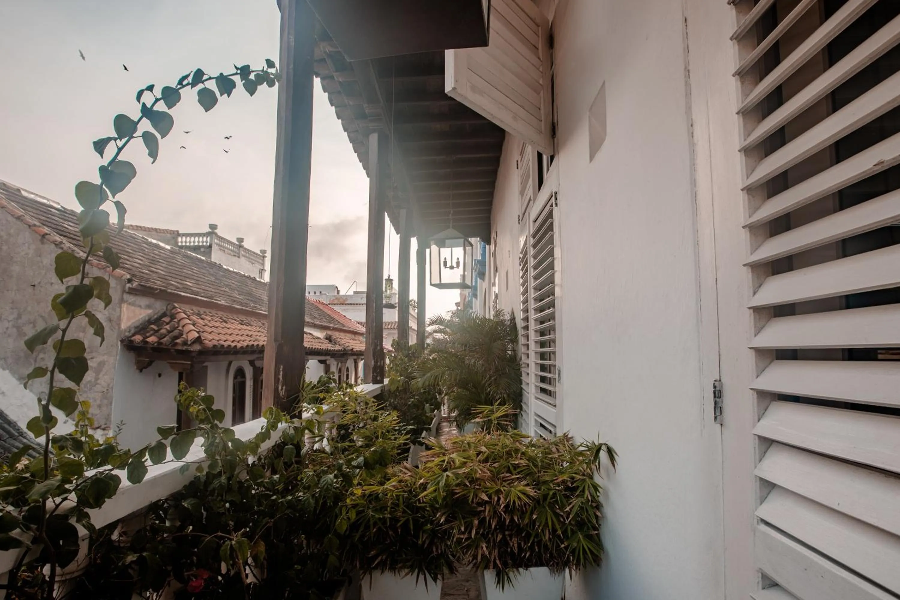 Balcony/Terrace in Amarla Boutique Hotel Cartagena