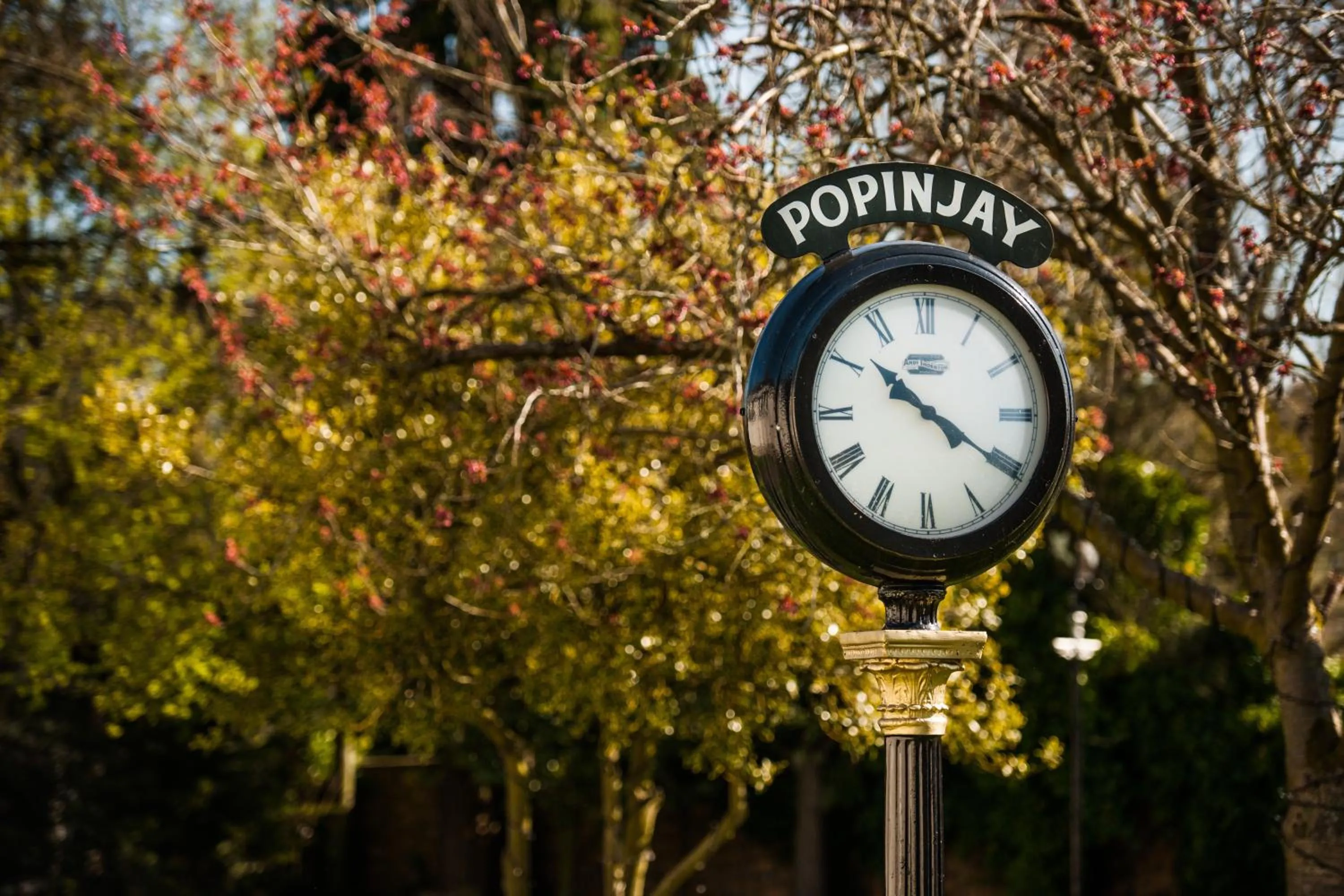 Garden in The Popinjay Hotel