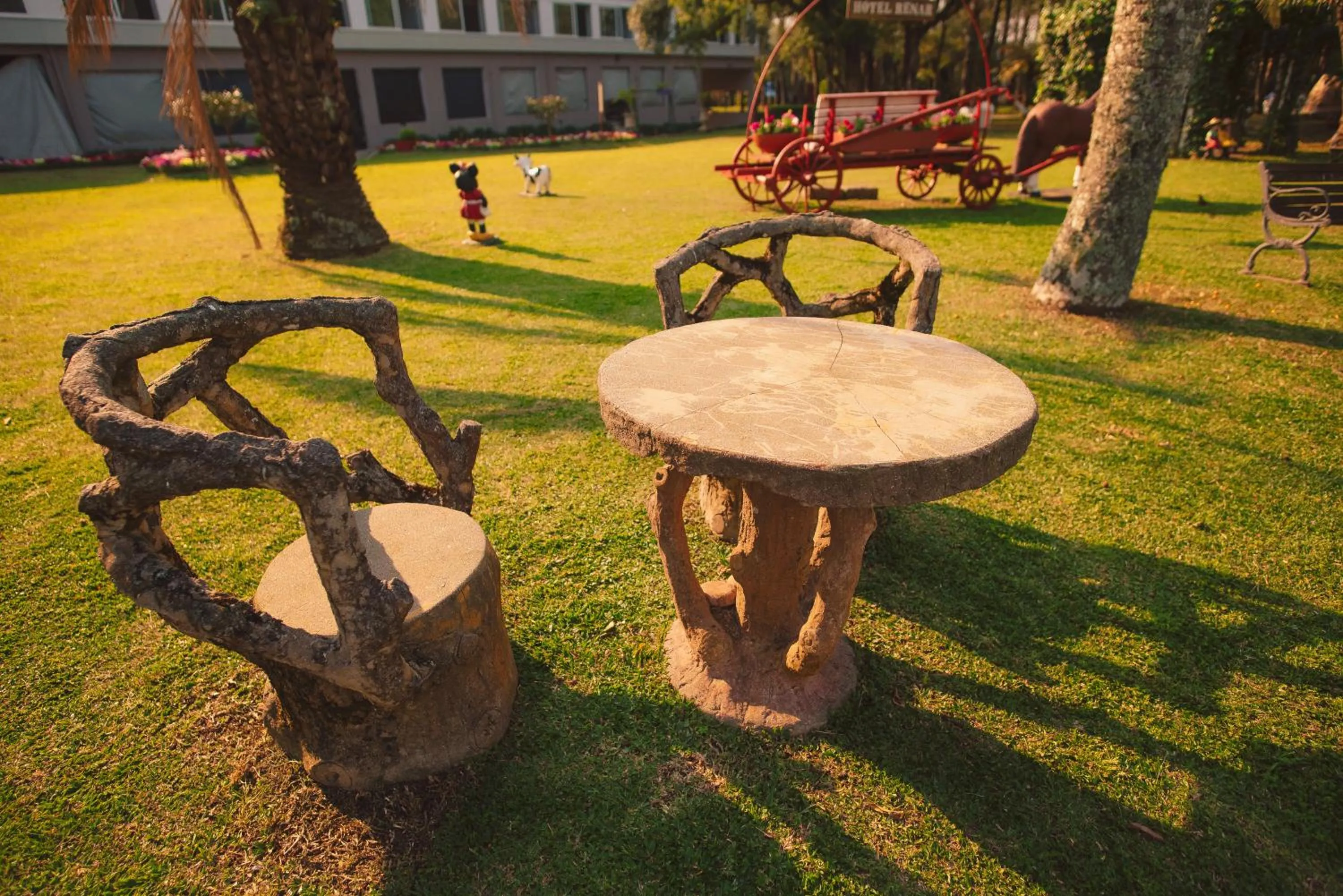 Garden in Hotel Renar