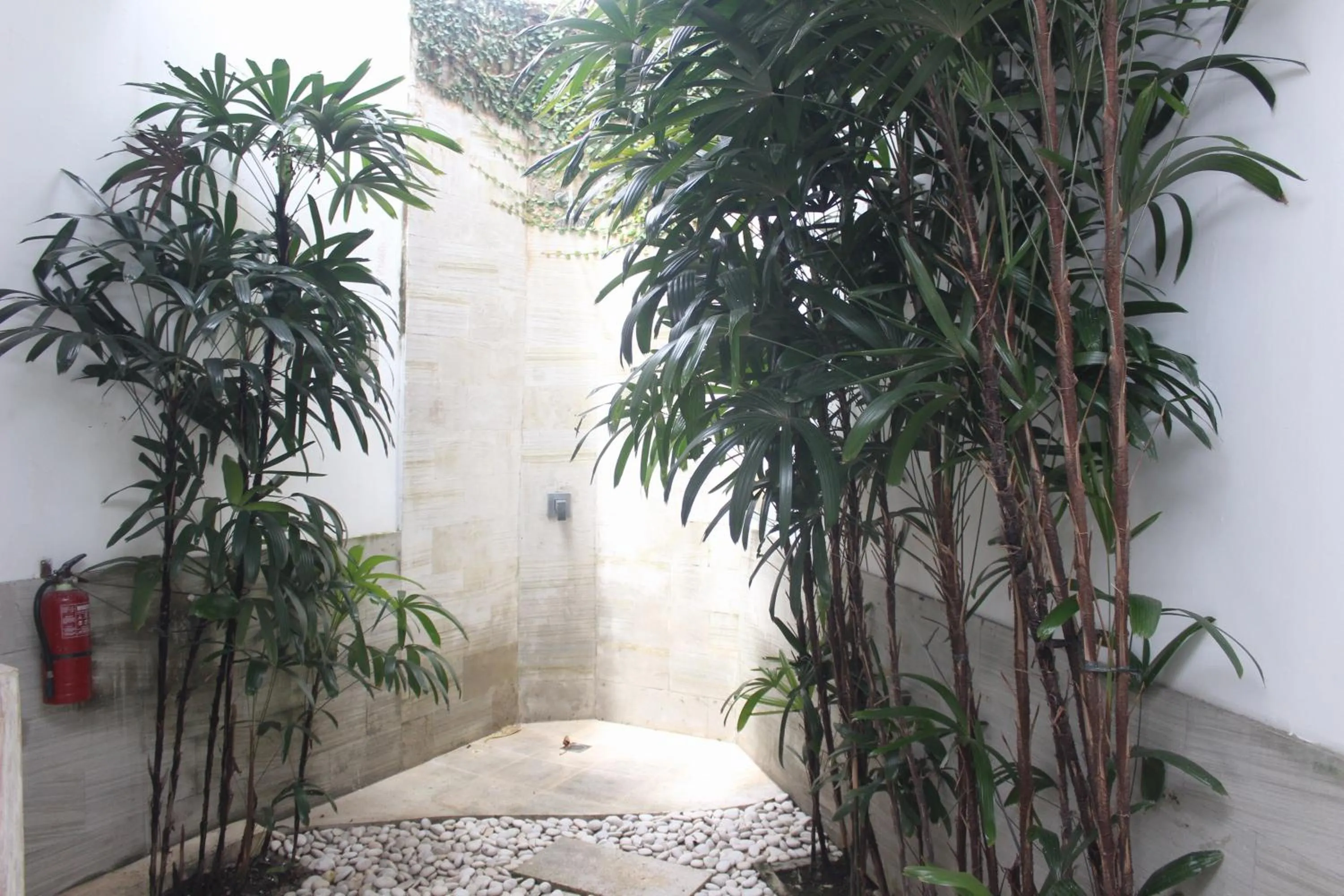 Garden in Villa Sahaja