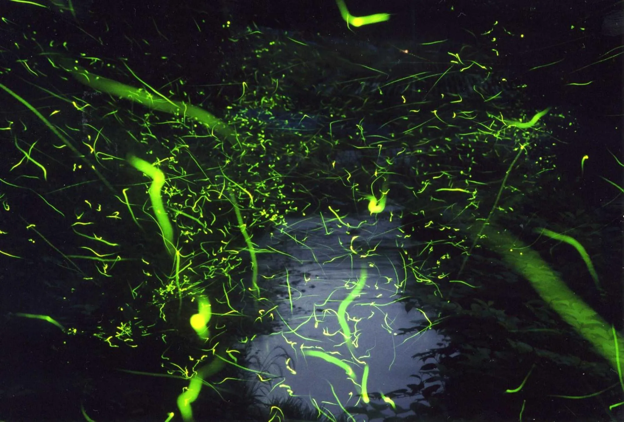 Natural landscape in Ichinomata Onsen Grand Hotel