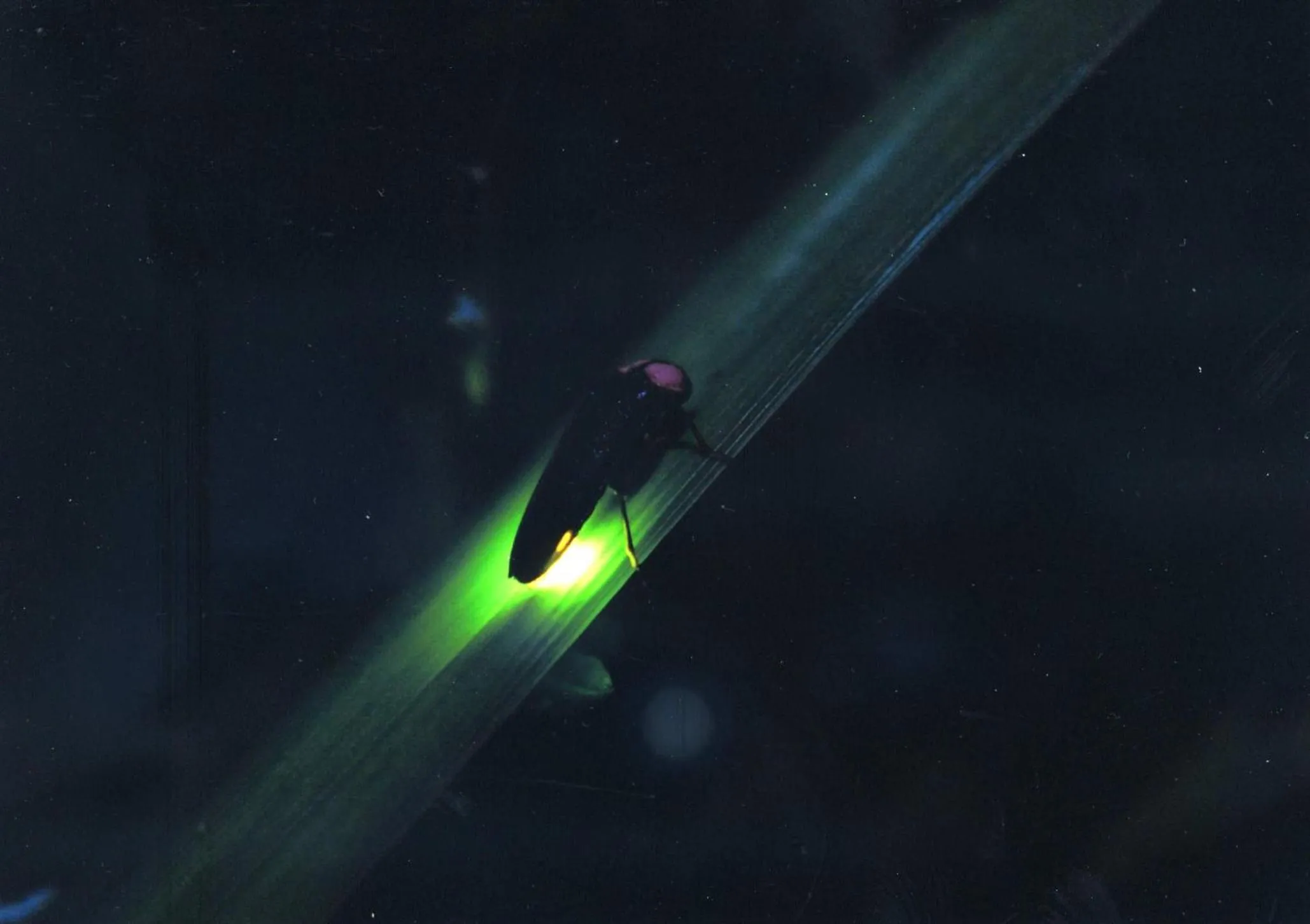 Natural landscape in Ichinomata Onsen Kanko Hotel