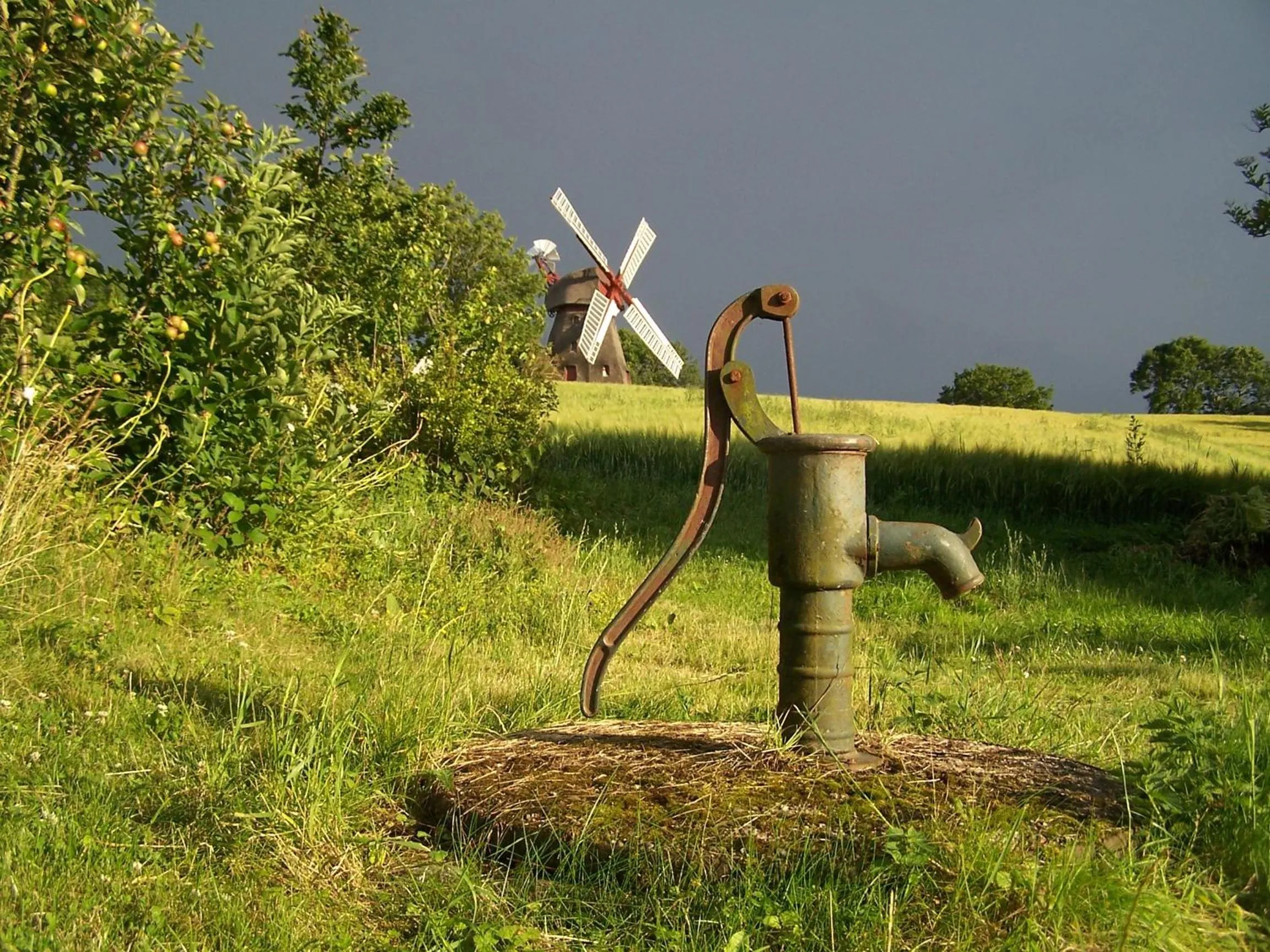 Garden in Møllehusets Bed & Breakfast