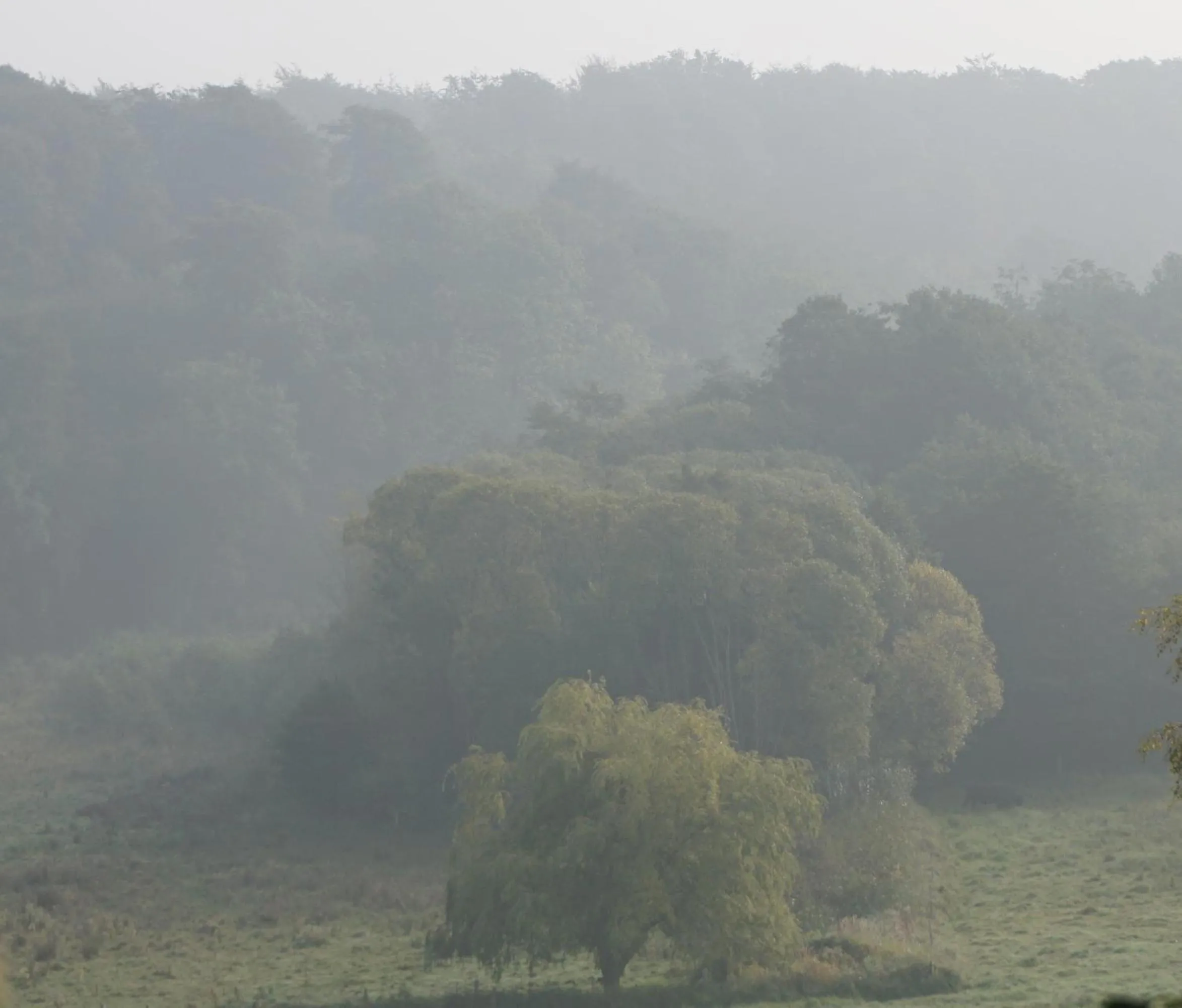 Natural landscape in Møllehusets Bed & Breakfast