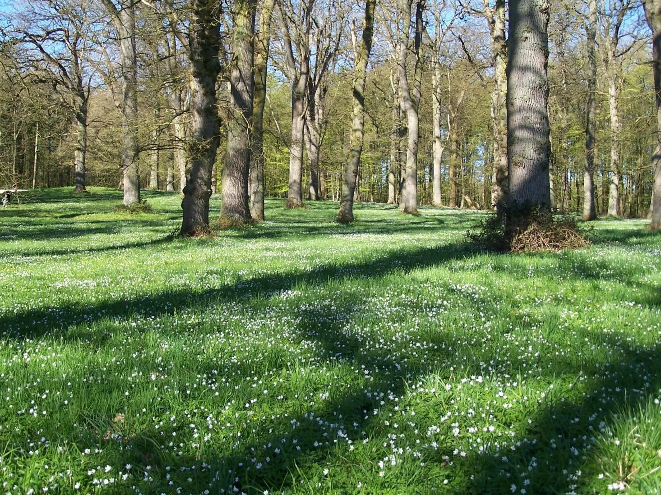 Natural landscape in Møllehusets Bed & Breakfast
