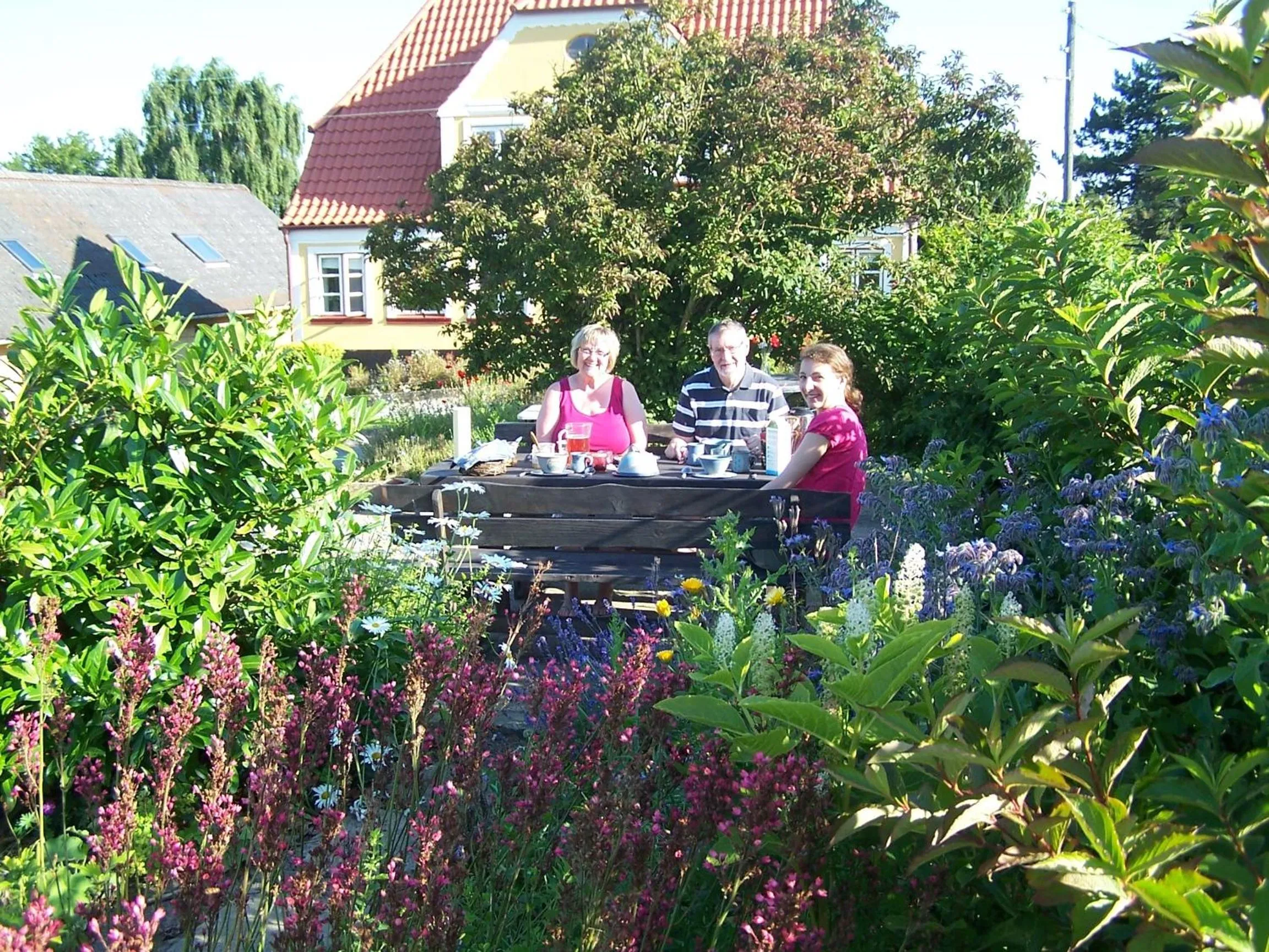 Garden in Møllehusets Bed & Breakfast