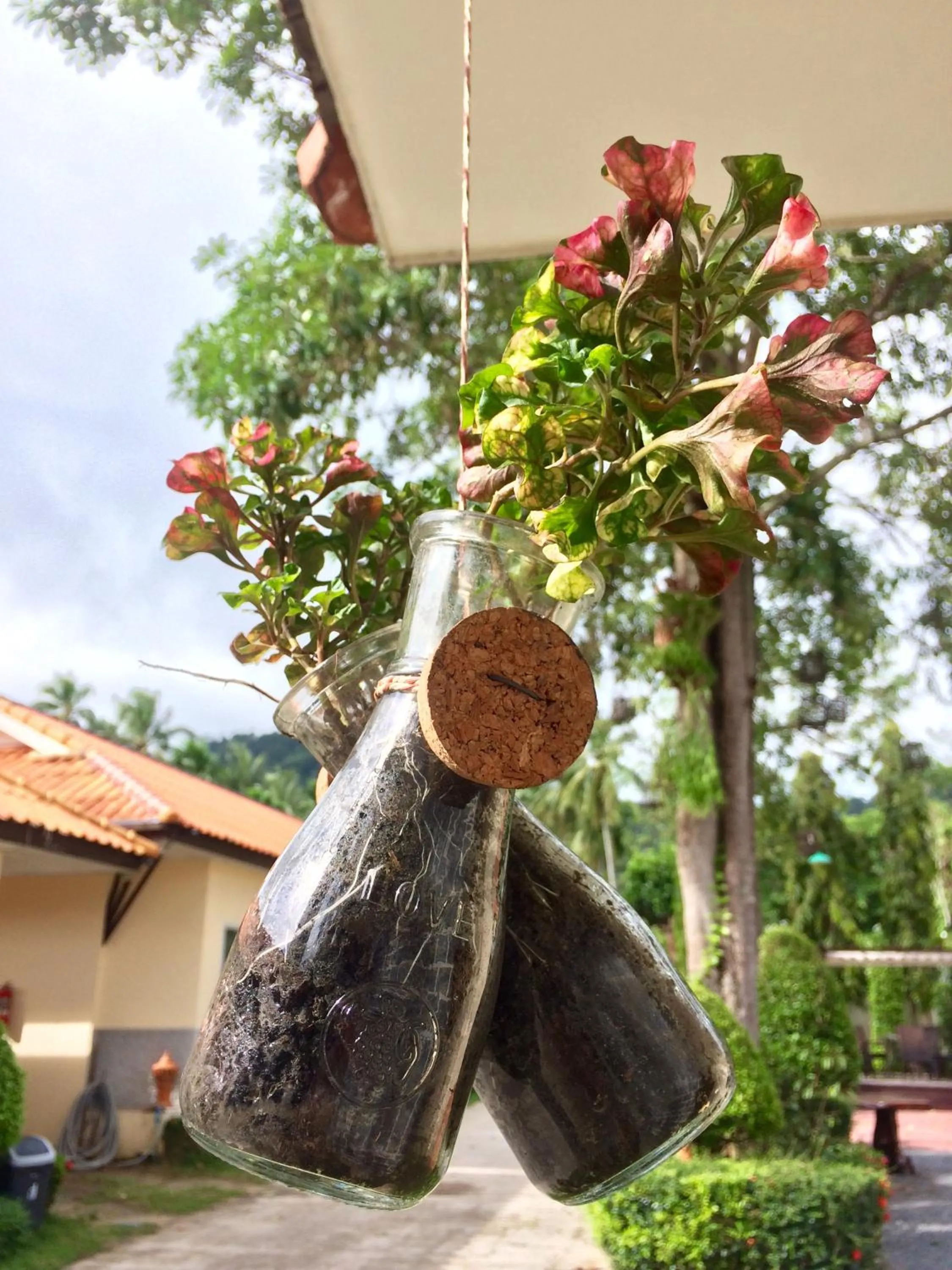 Garden in At Lamai Resort