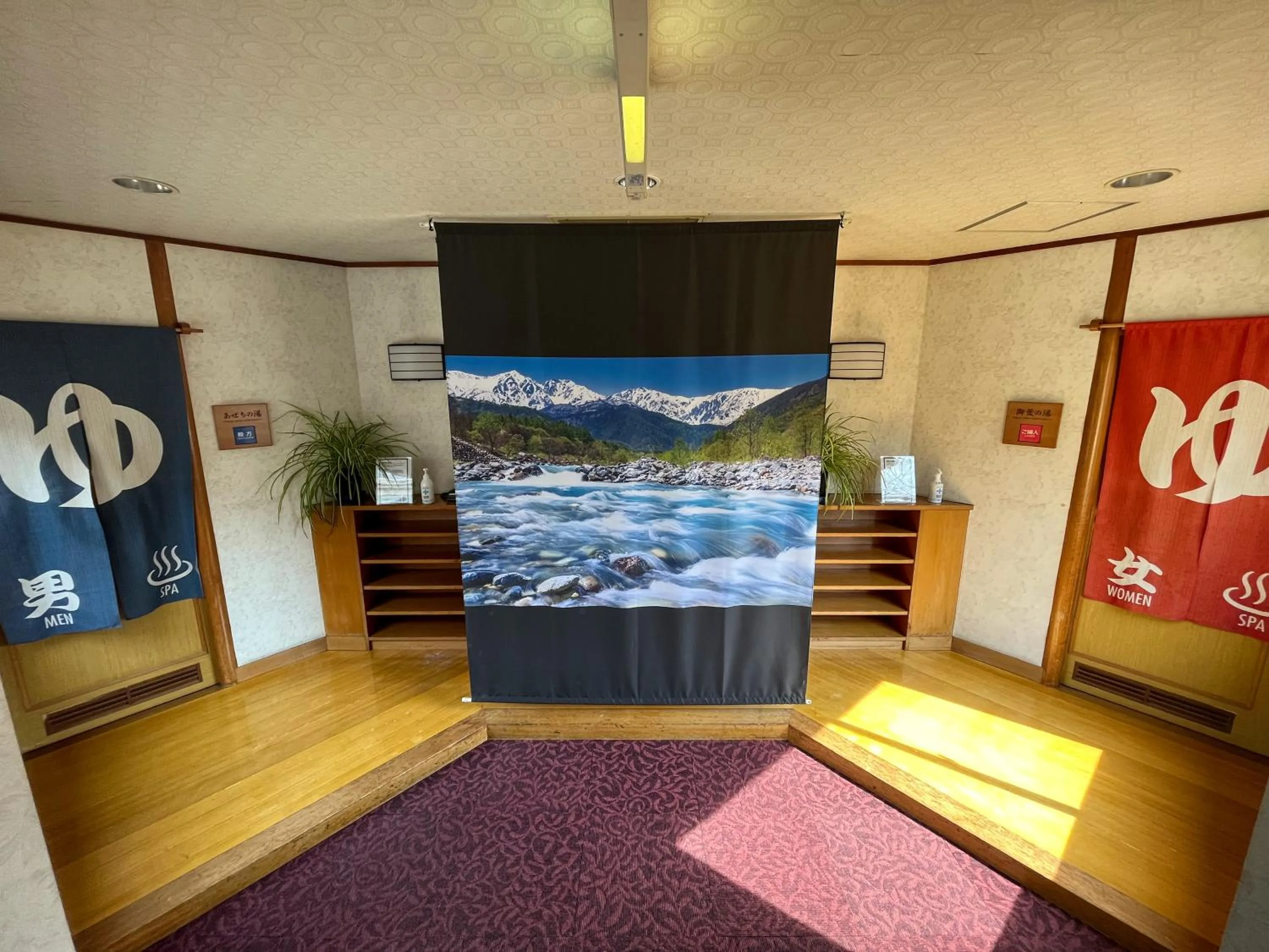 Hot Spring Bath in Hotel Goryukan