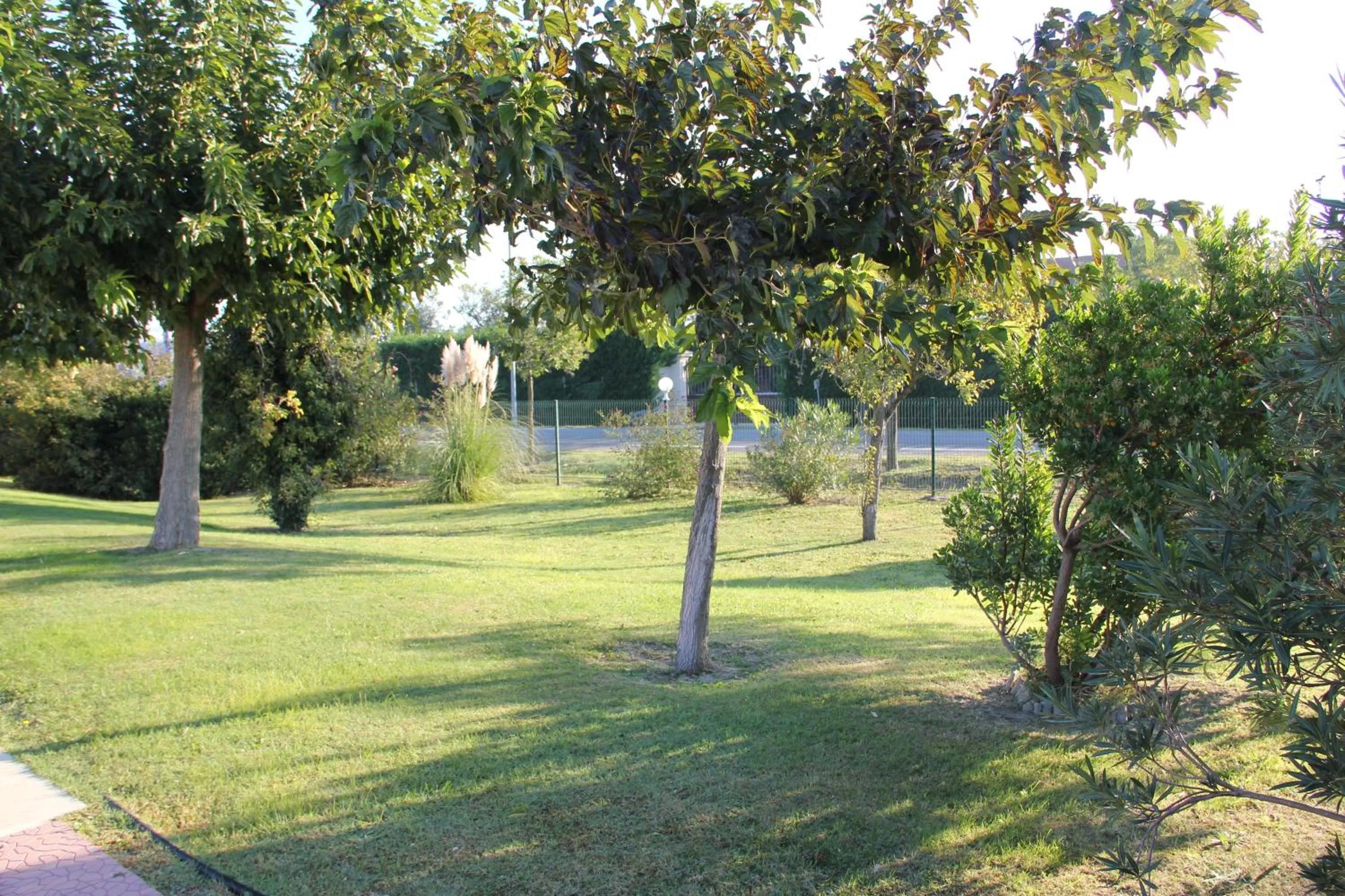 Garden view in Hôtel Saint Louis