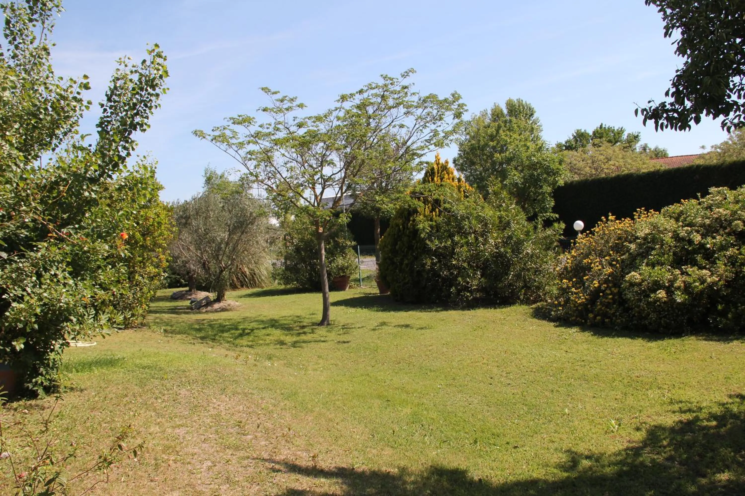 Garden in Hôtel Saint Louis
