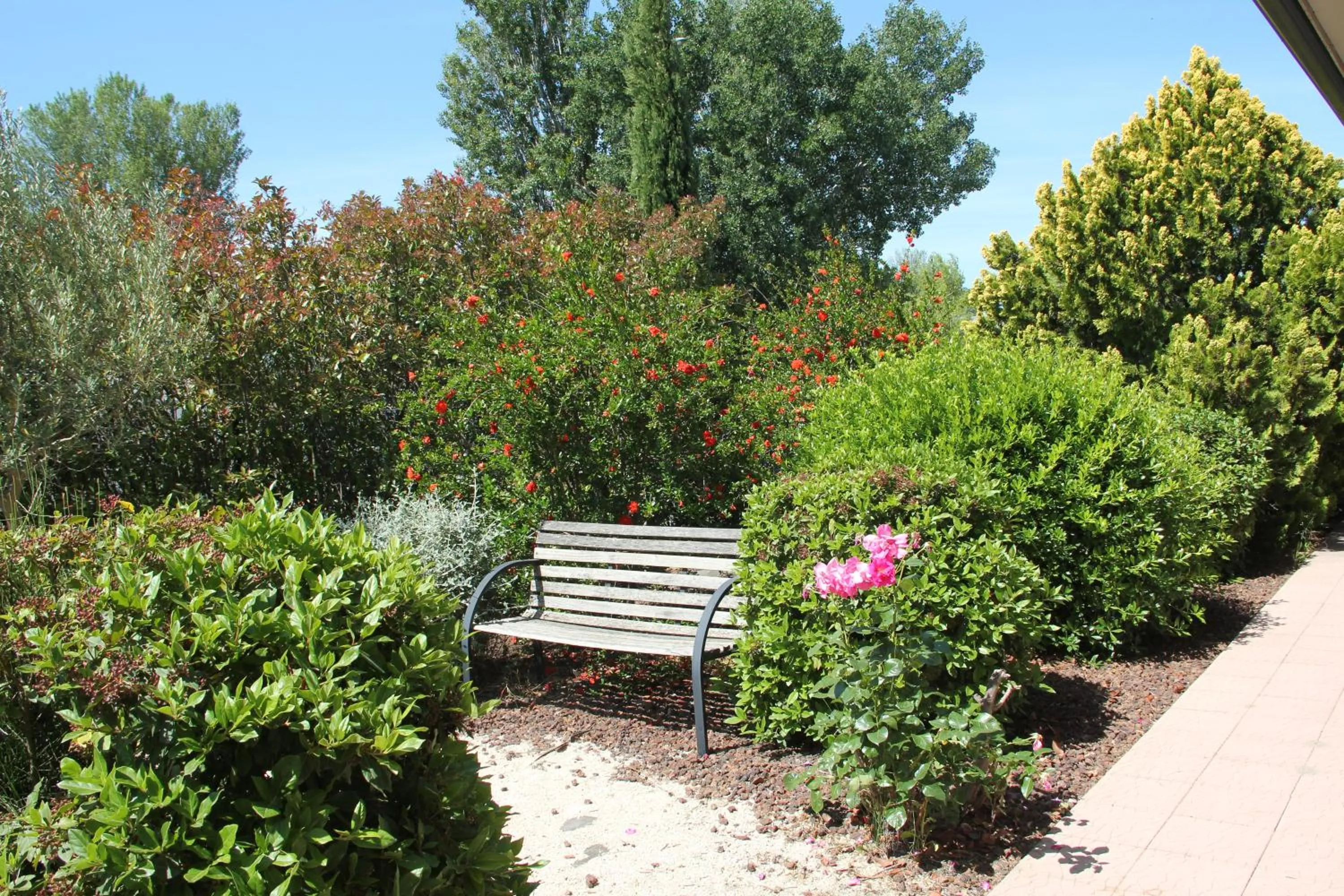 Garden in Hôtel Saint Louis